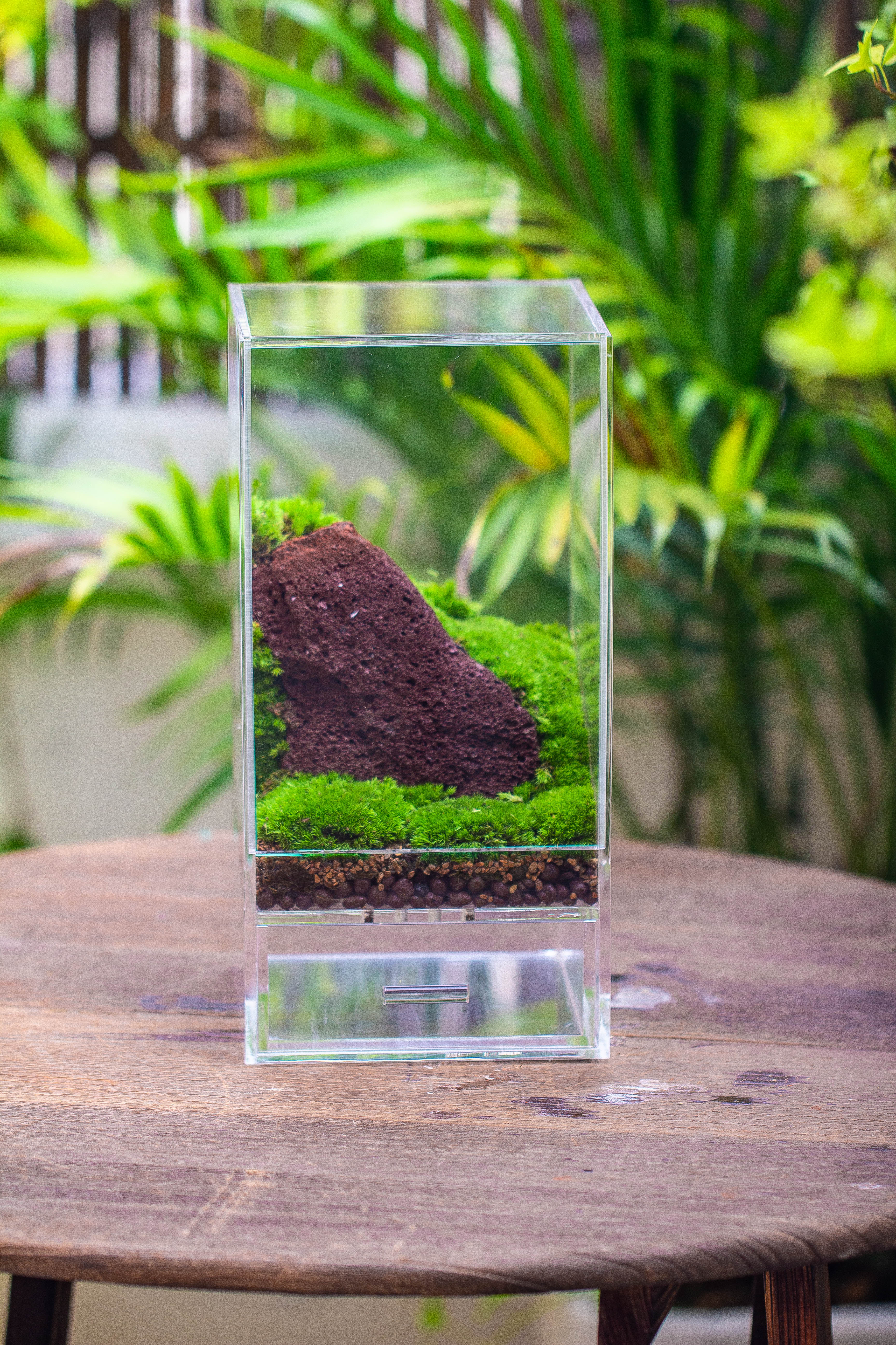 NCYP Acrylic Close terrarium with drainage bottom, suits for Fly Trap, Pitcher Plants, Moss Ball, Nursery, Small tropical Plants - NCYPgarden