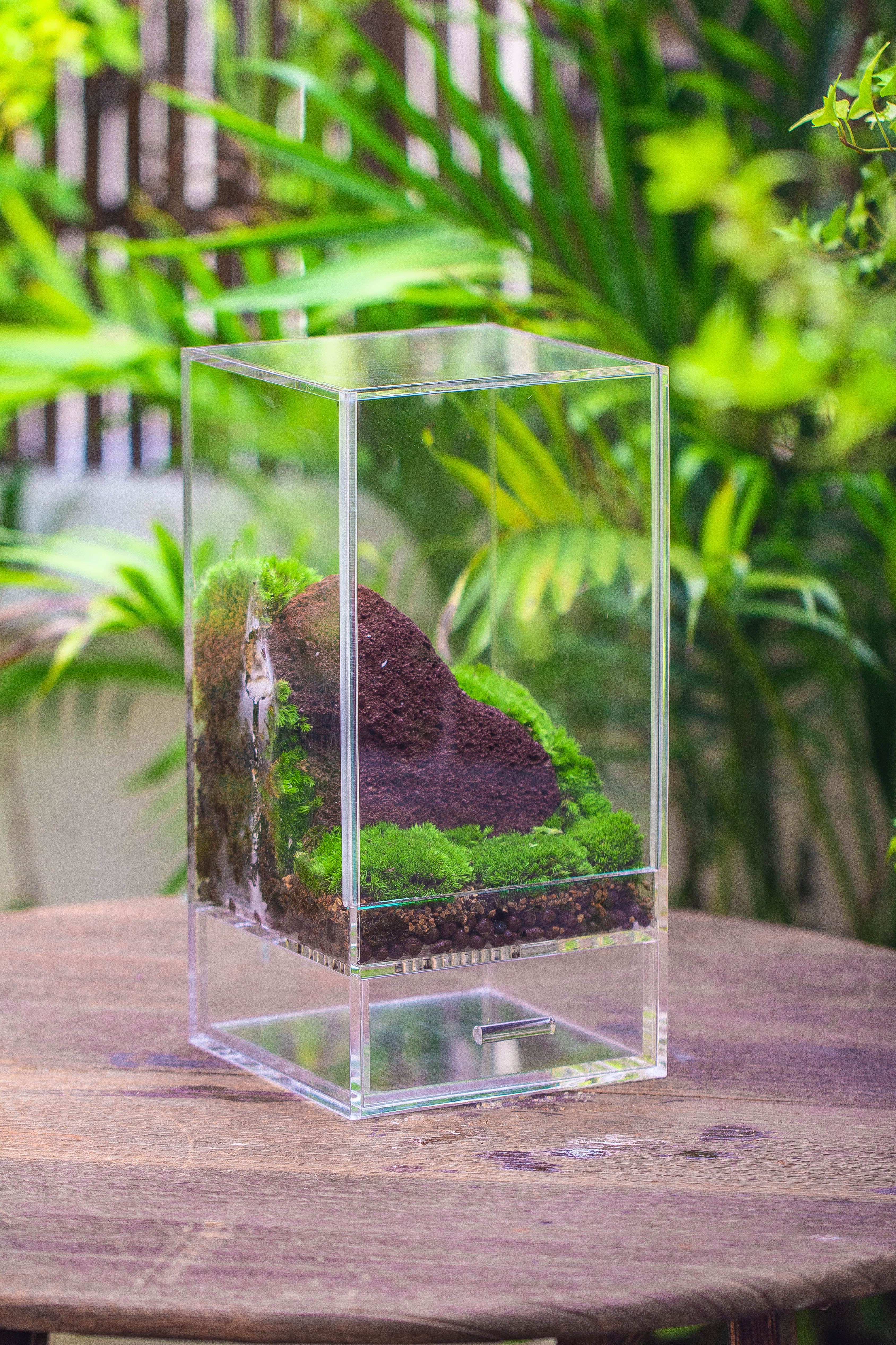 NCYP Acrylic Close terrarium with drainage bottom, suits for Fly Trap, Pitcher Plants, Moss Ball, Nursery, Small tropical Plants - NCYPgarden