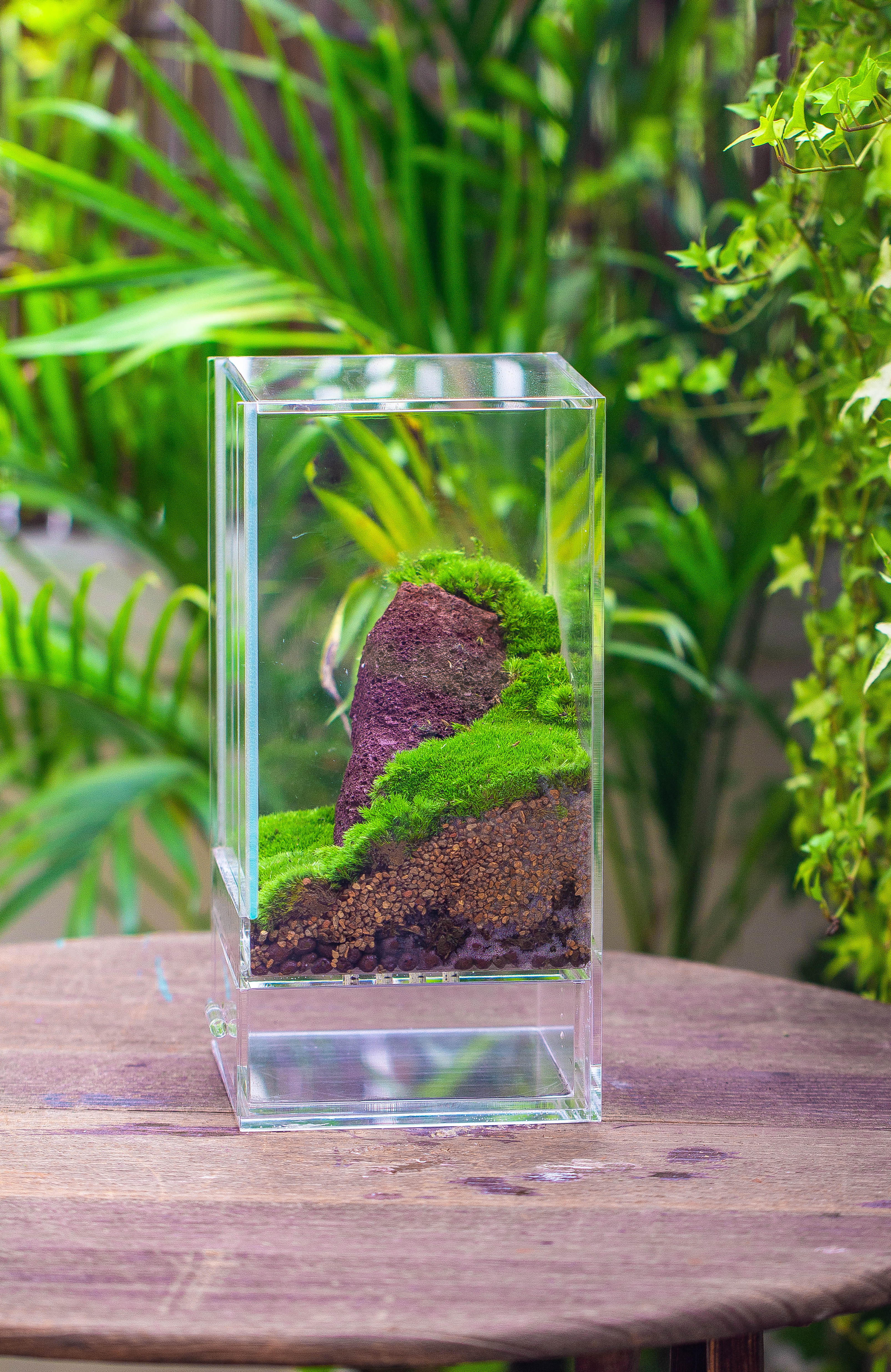 NCYP Acrylic Close terrarium with drainage bottom, suits for Fly Trap, Pitcher Plants, Moss Ball, Nursery, Small tropical Plants - NCYPgarden