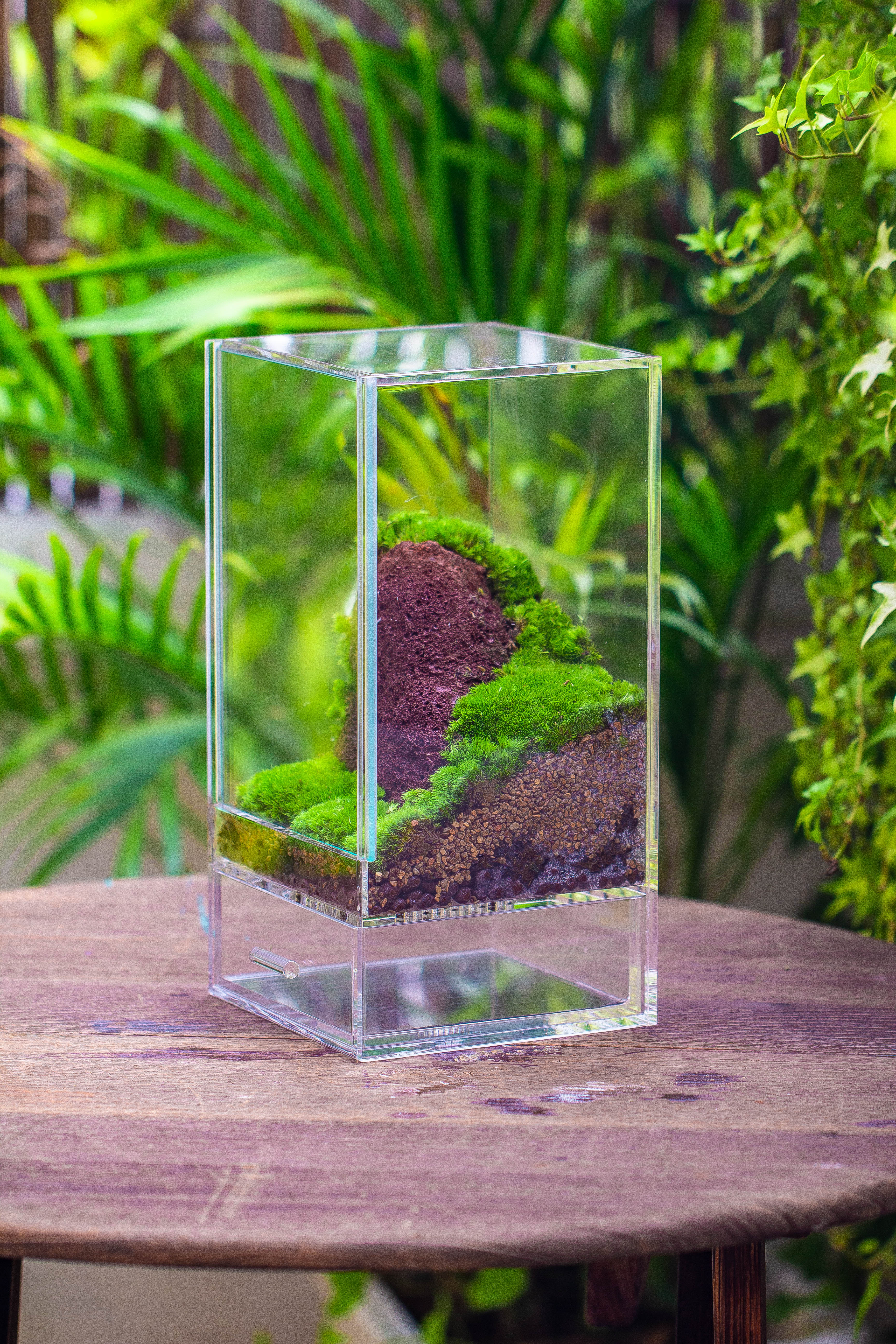 NCYP Acrylic Close terrarium with drainage bottom, suits for Fly Trap, Pitcher Plants, Moss Ball, Nursery, Small tropical Plants - NCYPgarden