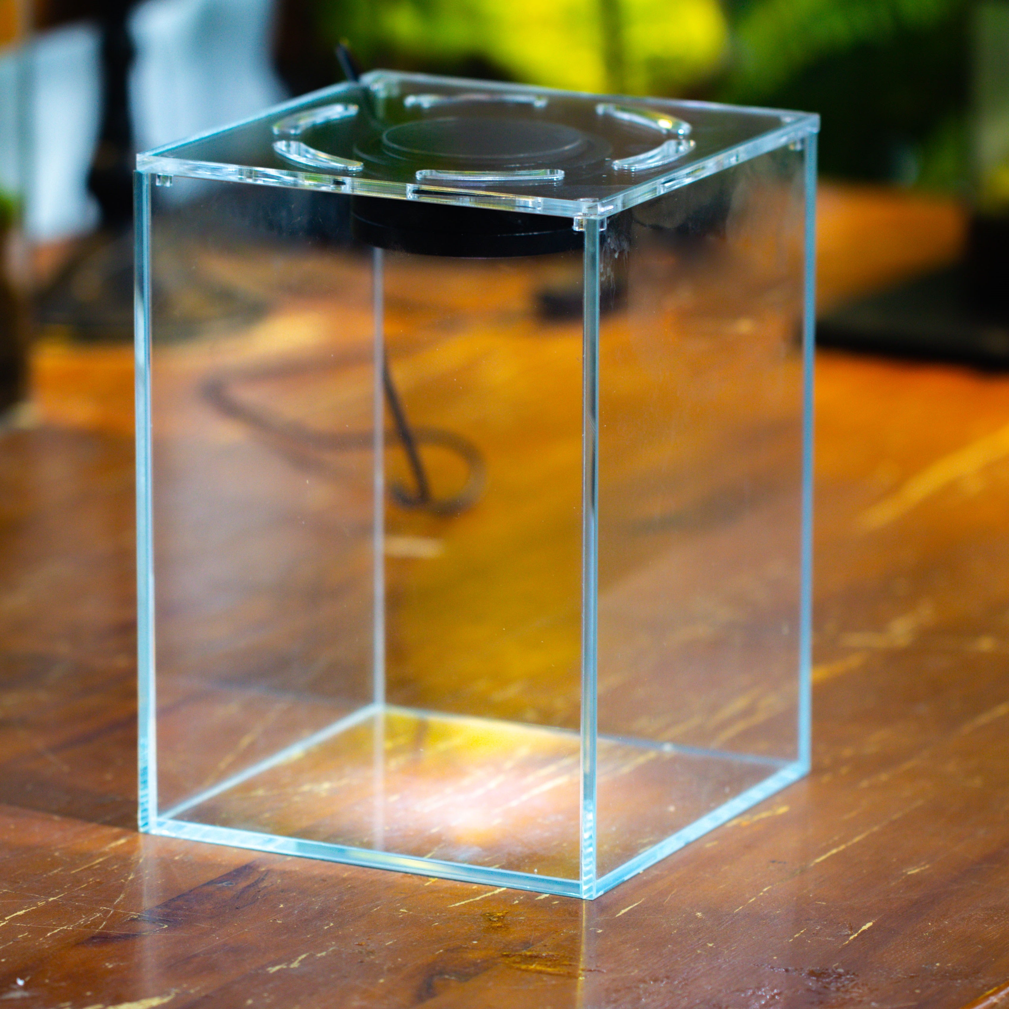 Watertight Glass Terrarium with LED Grow Light, Acrylic Lid for Carnivorous Plants-12x12x18cm / 4.7x4.7x7.1''