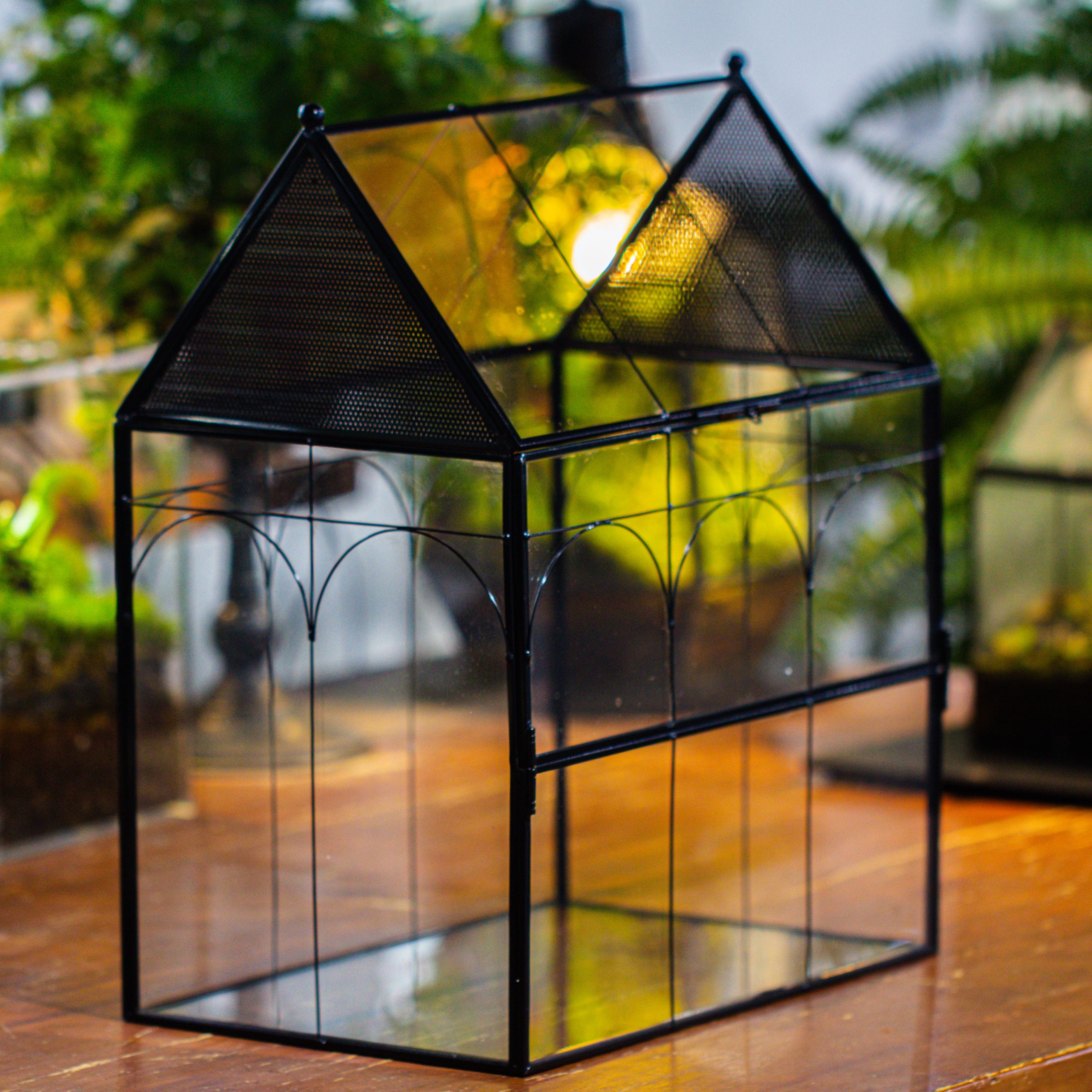 Large Vintage House Shape Insect Terrarium with Vent for Tarantulas, Mantis, Stick Insects -13"