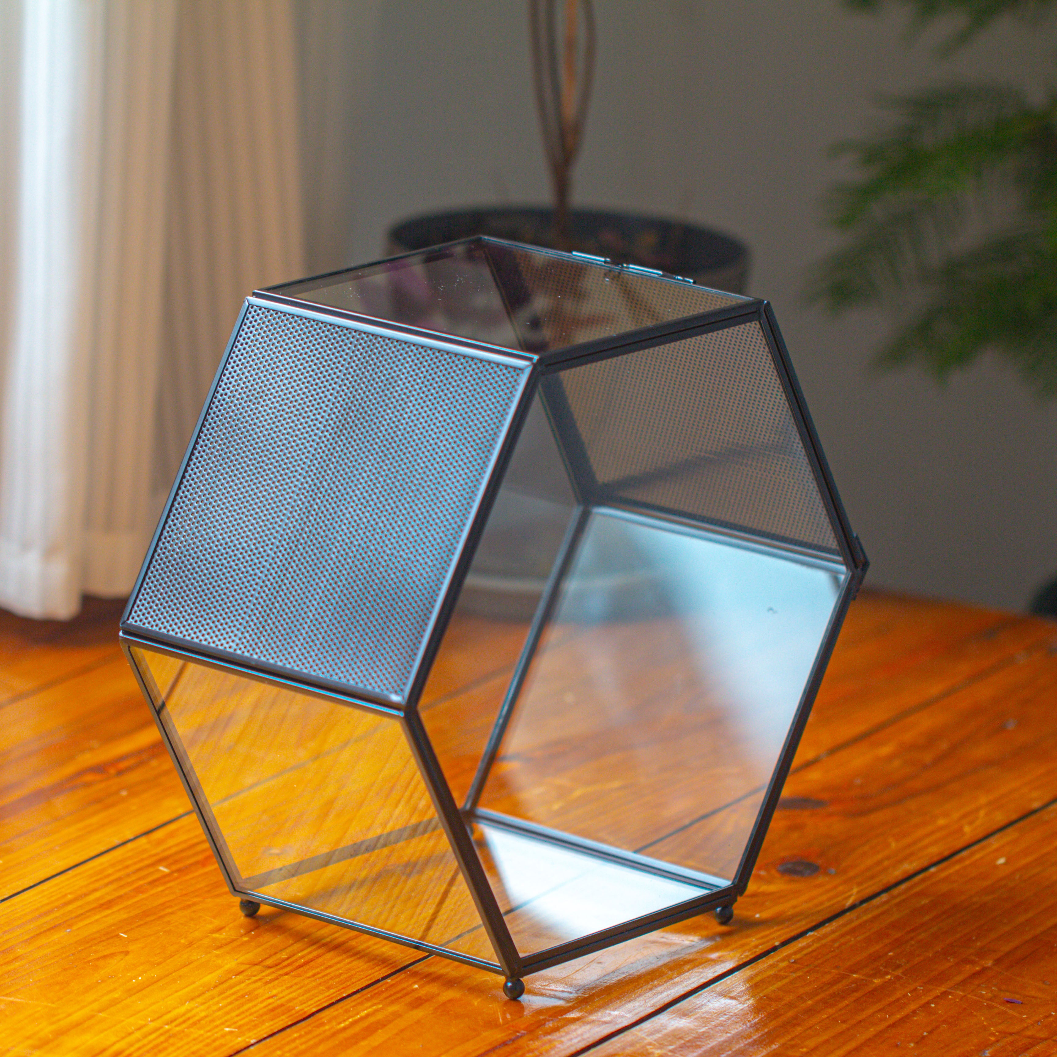 Handmade Hexagon Glass Geometric Terrarium Enclosure with Mesh Vents for Small Insects