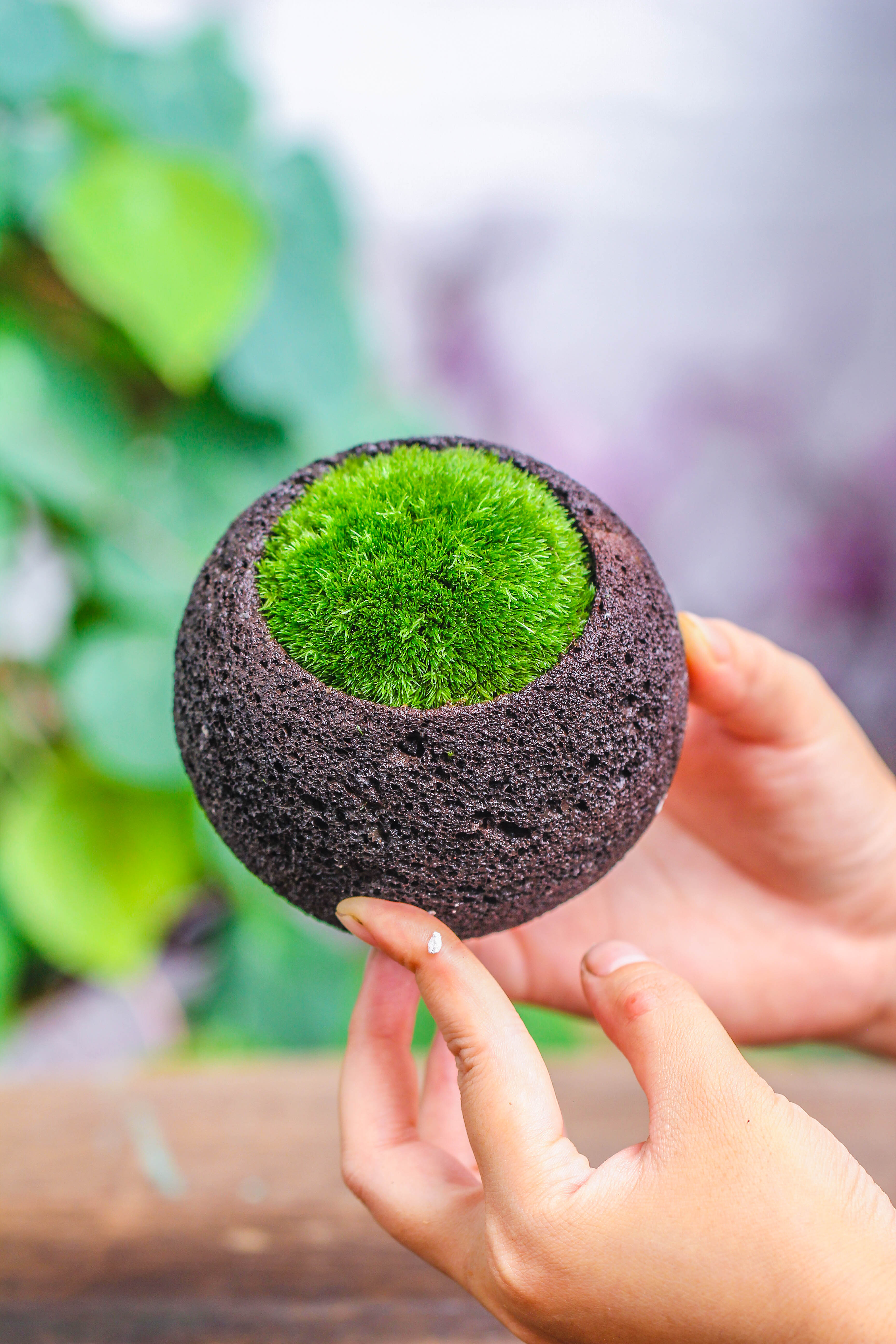 8cm / 3.1" Round Red Horticultural Lava Rock Volcanic Rock Planter for succulents, moss, tropical palants, terrariums - NCYPgarden