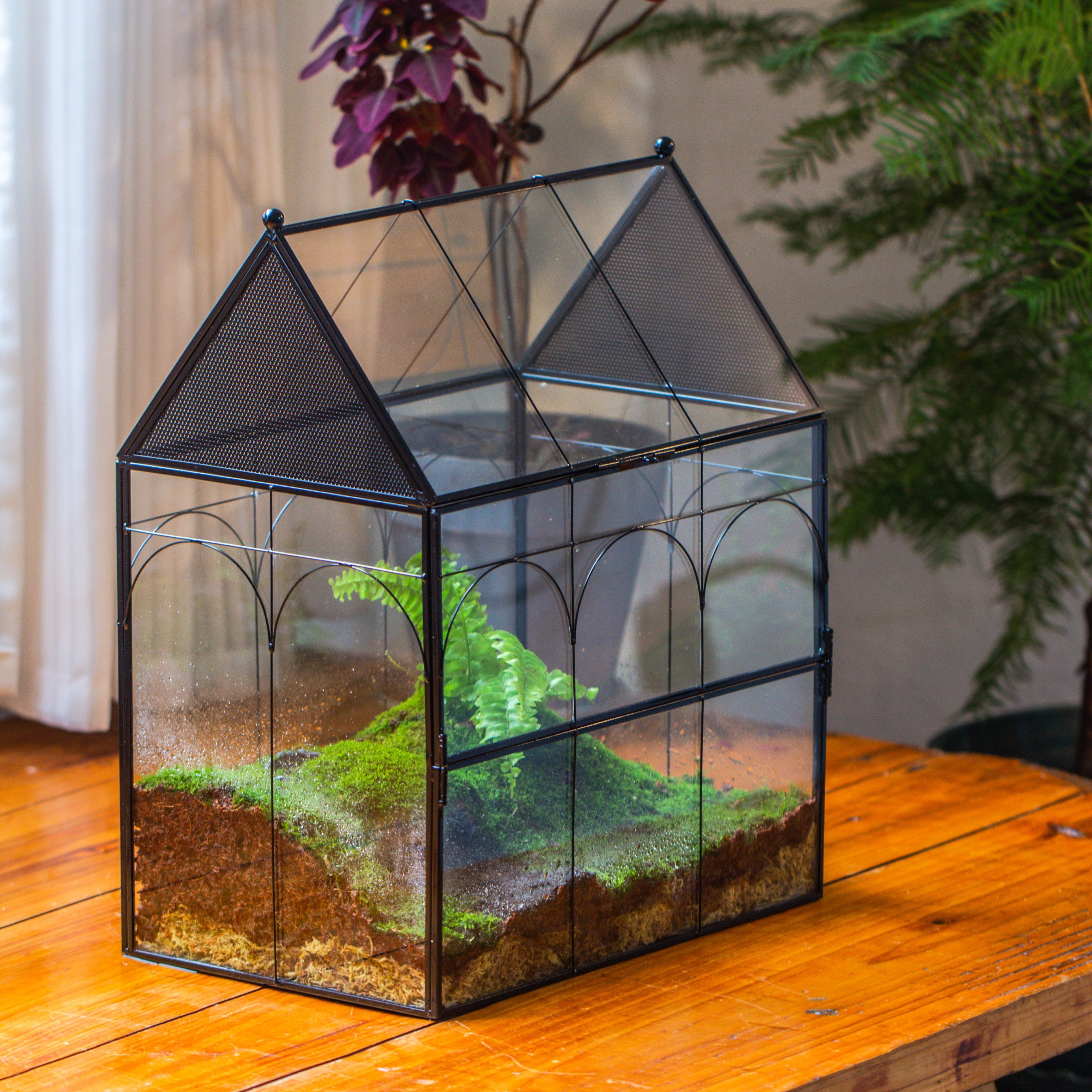 Large Vintage House Shape Insect Terrarium with Vent for Tarantulas, Mantis, Stick Insects -13"