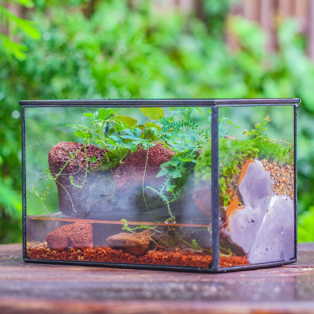 Geometric Terrariums | NCYPgarden