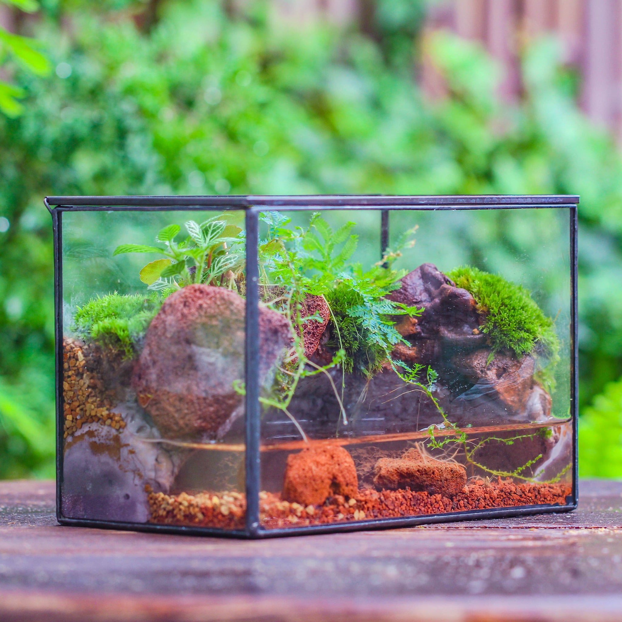 Watertight terrariums — NCYPgarden