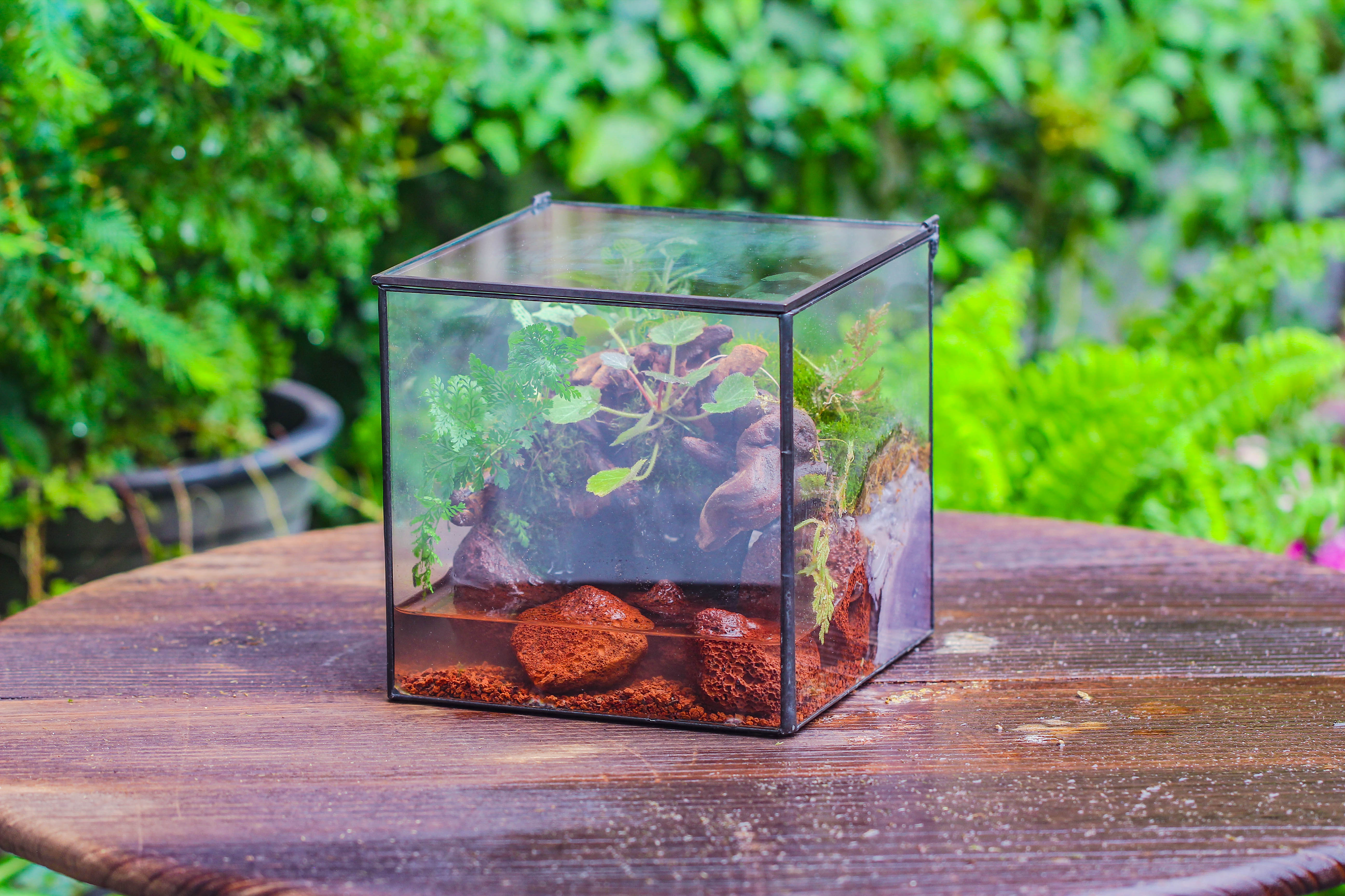 Six-Sided outlet Cube Glass Terrarium Aqua/Clear/Copper