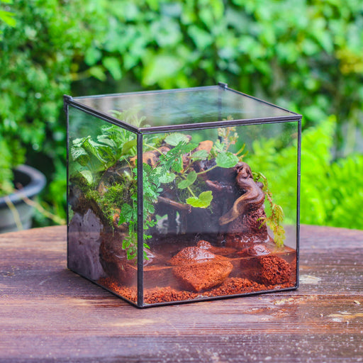 Watertight terrariums | NCYPgarden