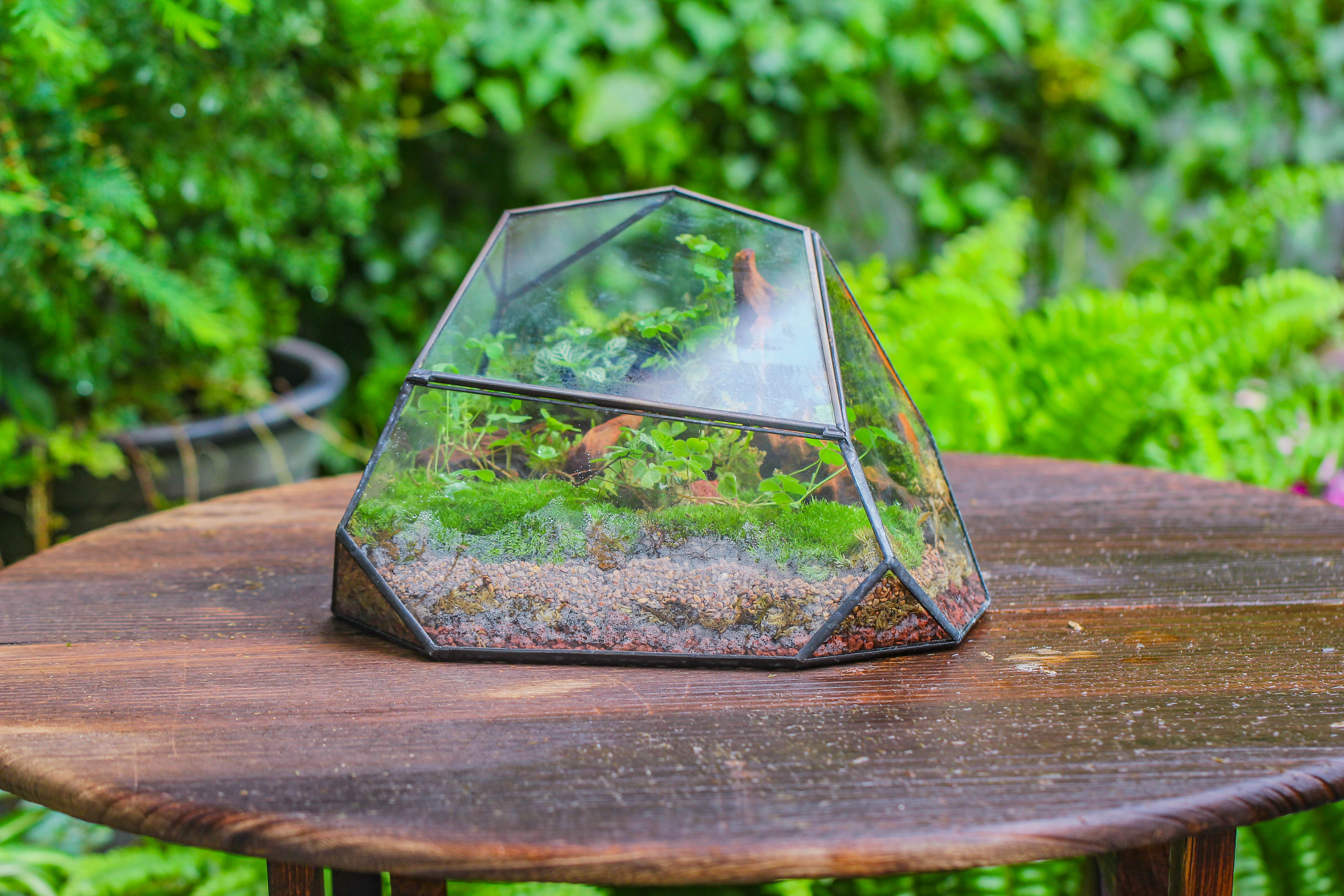 Irregular geometric rock shape glass and tin terrarium, for moss - NCYPgarden