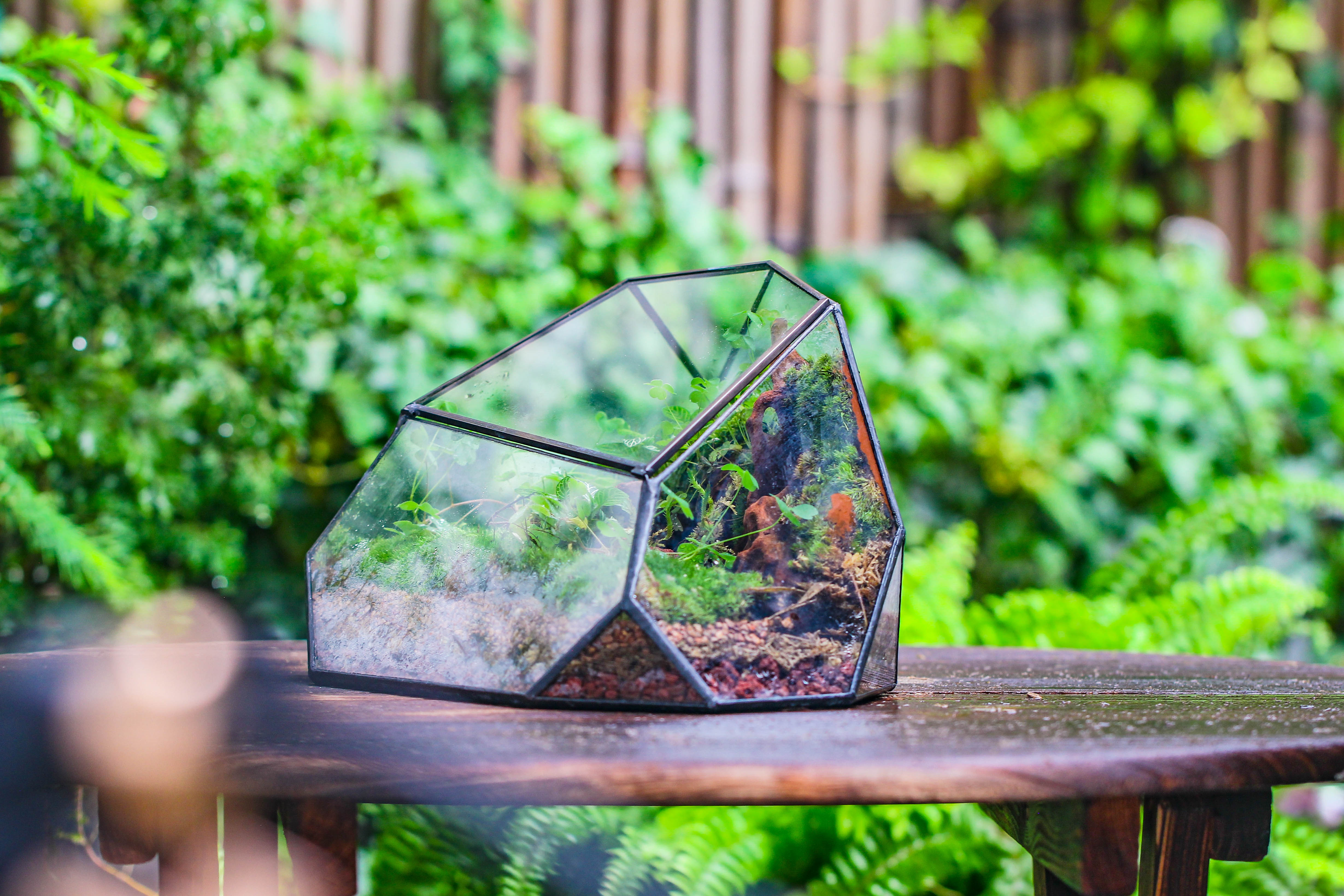 Teardrop store Shaped Geometric Stained Glass Terrarium - Extra Large