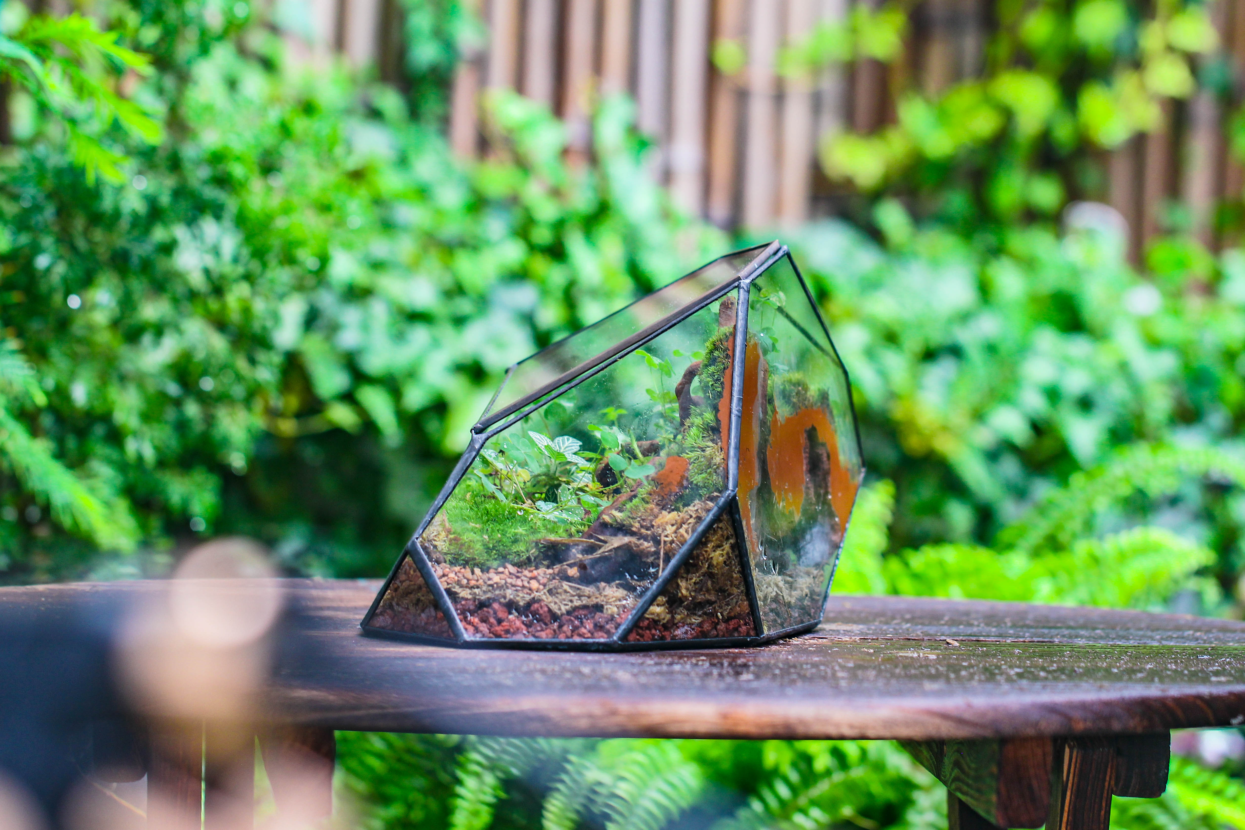 Irregular geometric rock shape glass and tin terrarium, for moss - NCYPgarden