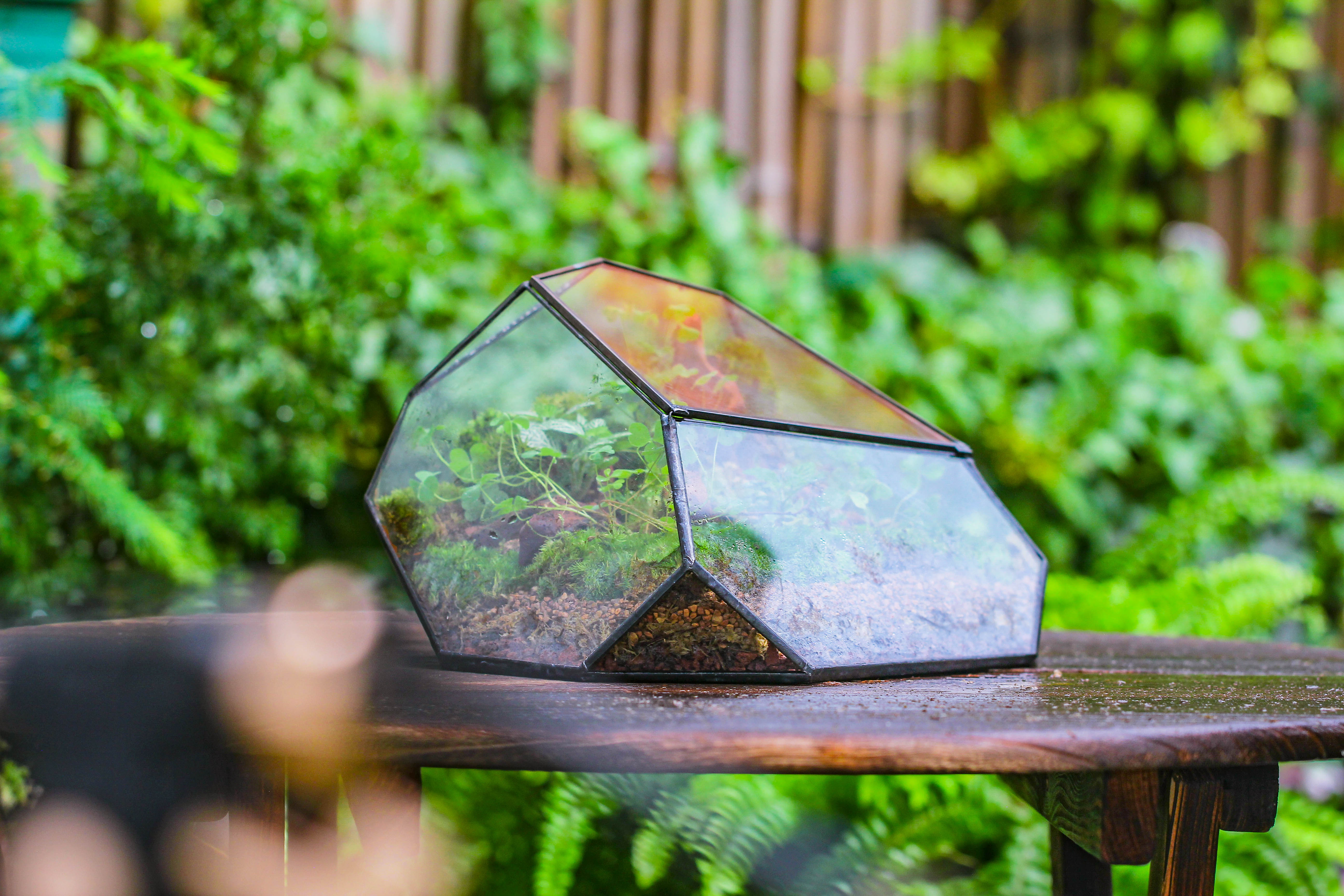 Irregular geometric rock shape glass and tin terrarium, for moss - NCYPgarden