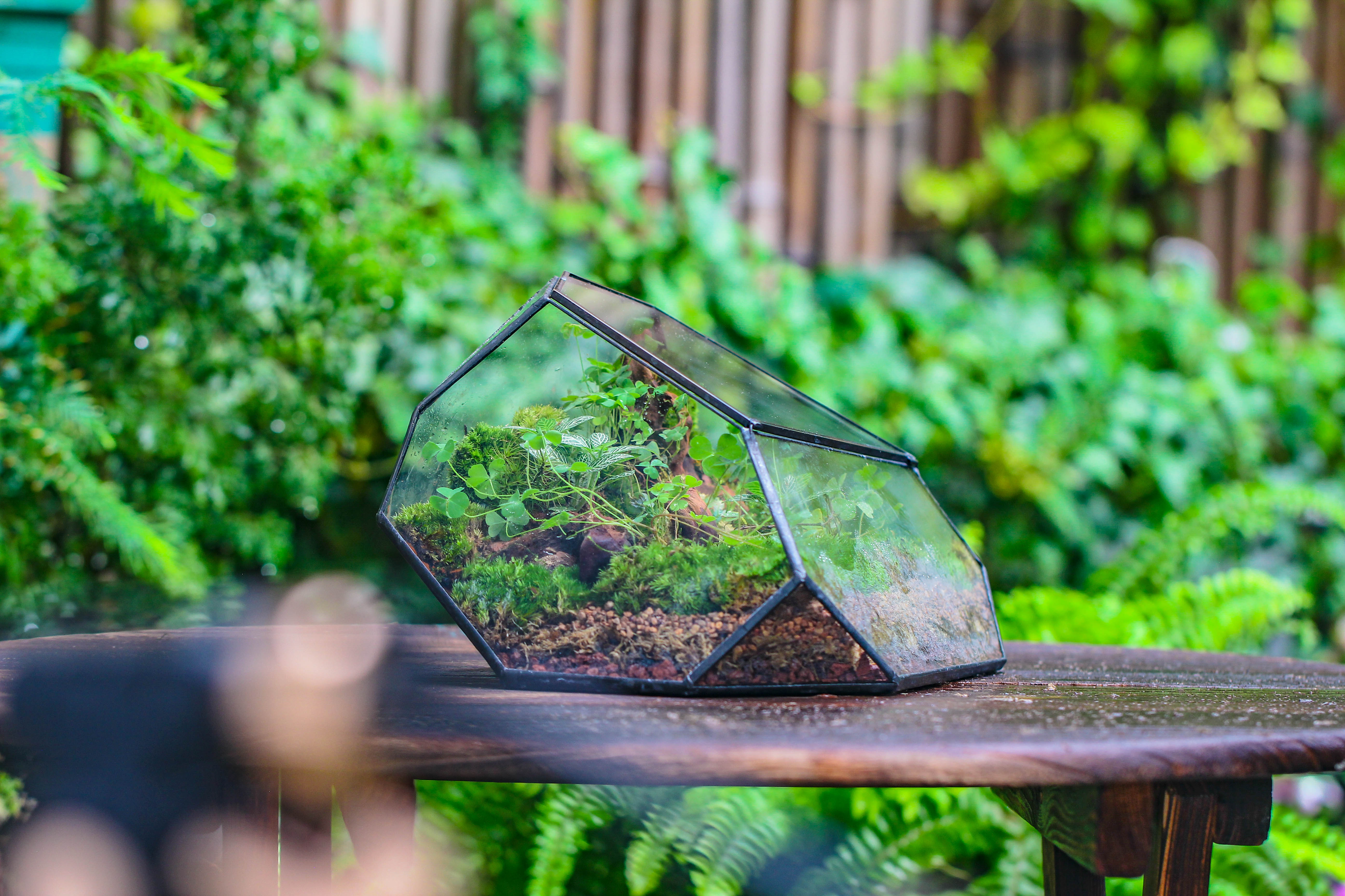 Irregular geometric rock shape glass and tin terrarium, for moss - NCYPgarden