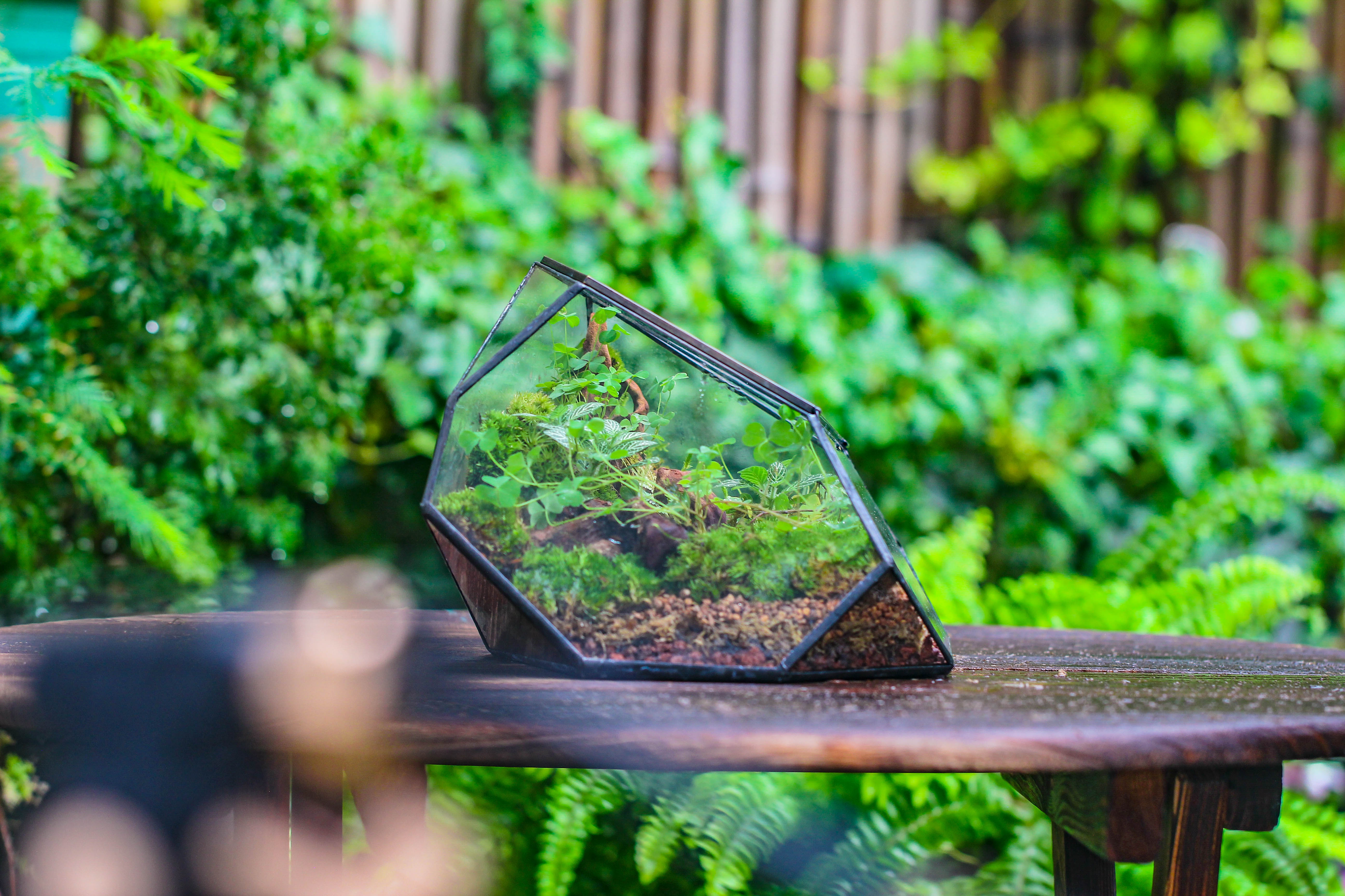 Irregular geometric rock shape glass and tin terrarium, for moss - NCYPgarden