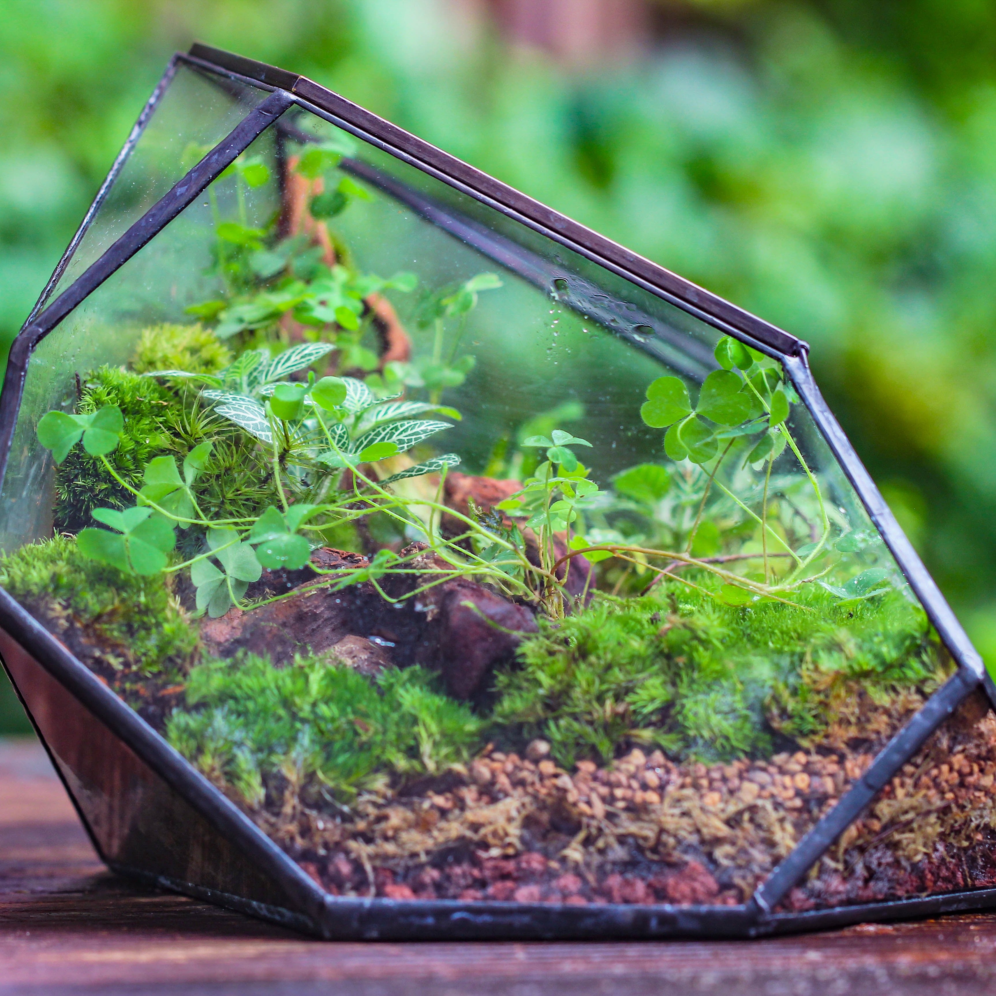 Irregular geometric rock shape glass and tin terrarium, for moss - NCYPgarden