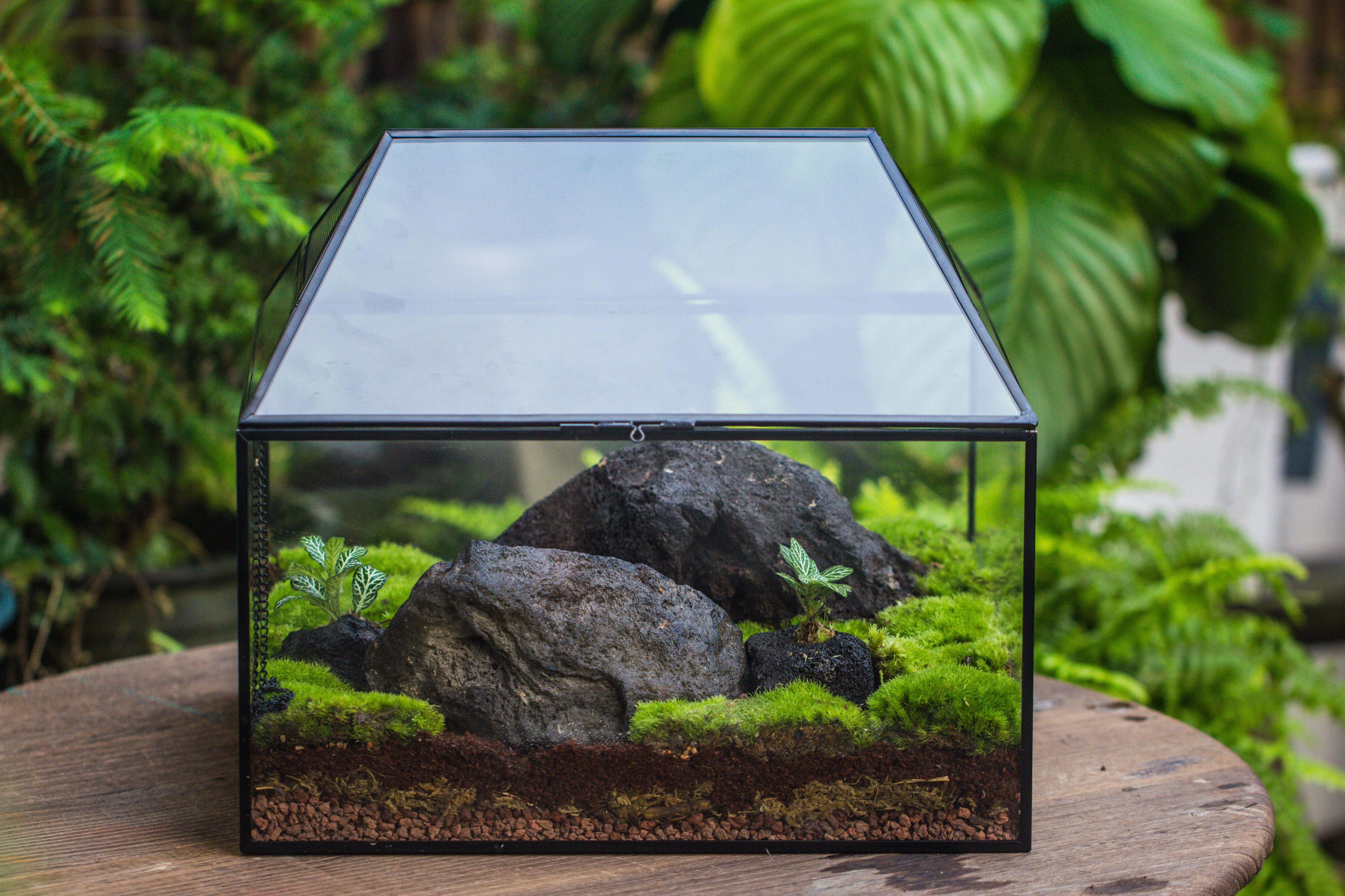 NCYP Handmade Large House Shape Tabletop, Swing Lid Latch Geometric Glass Terrariumn Box - NCYPgarden