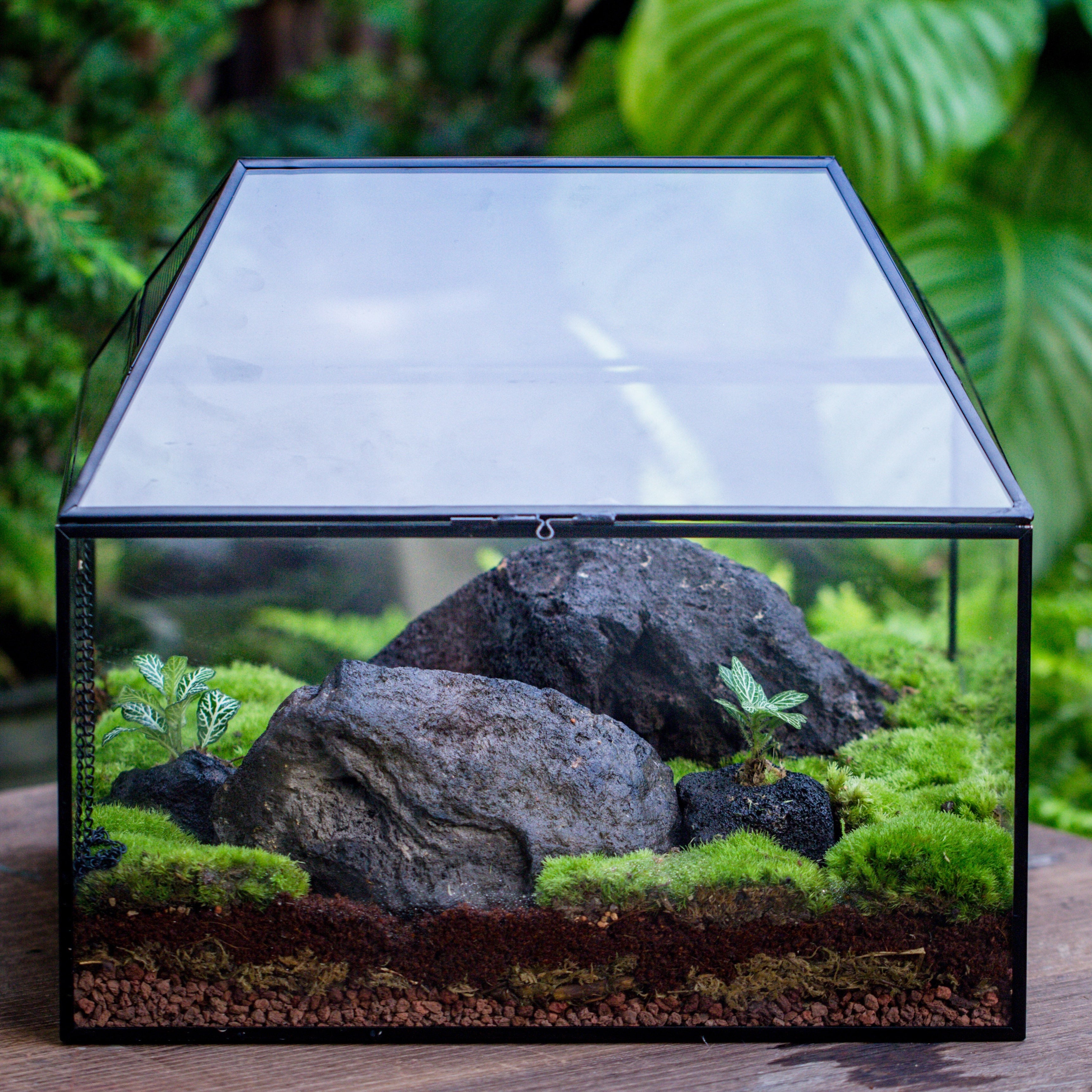 NCYP Handmade Large House Shape Tabletop, Swing Lid Latch Geometric Glass Terrariumn Box - NCYPgarden