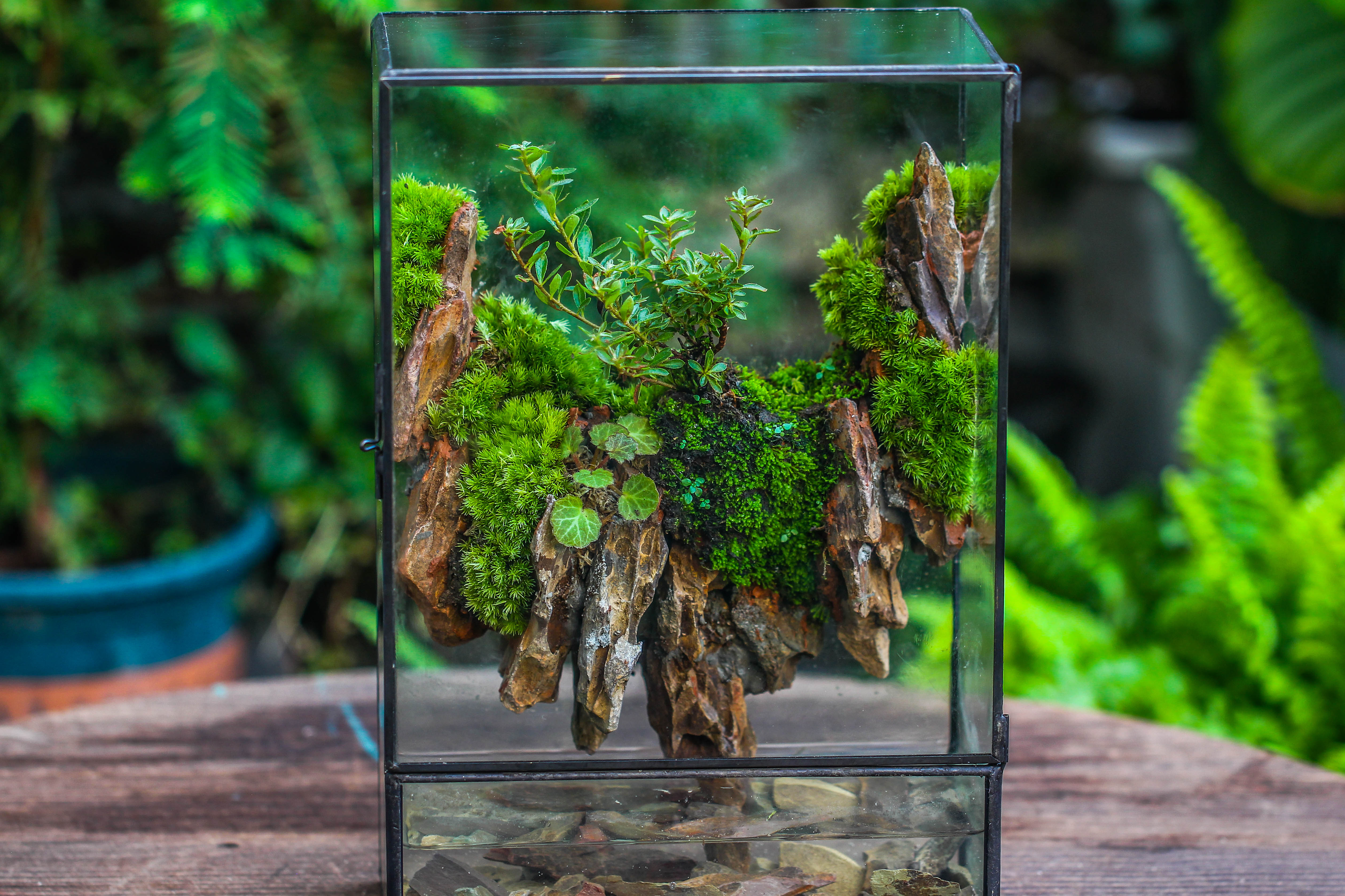 Close Geometric Glass Tin Terrarium , Watertight, 8x12" Container for Moss Wall, Fern, Landscape waterpond, 8x12", No plants Customizable - NCYPgarden