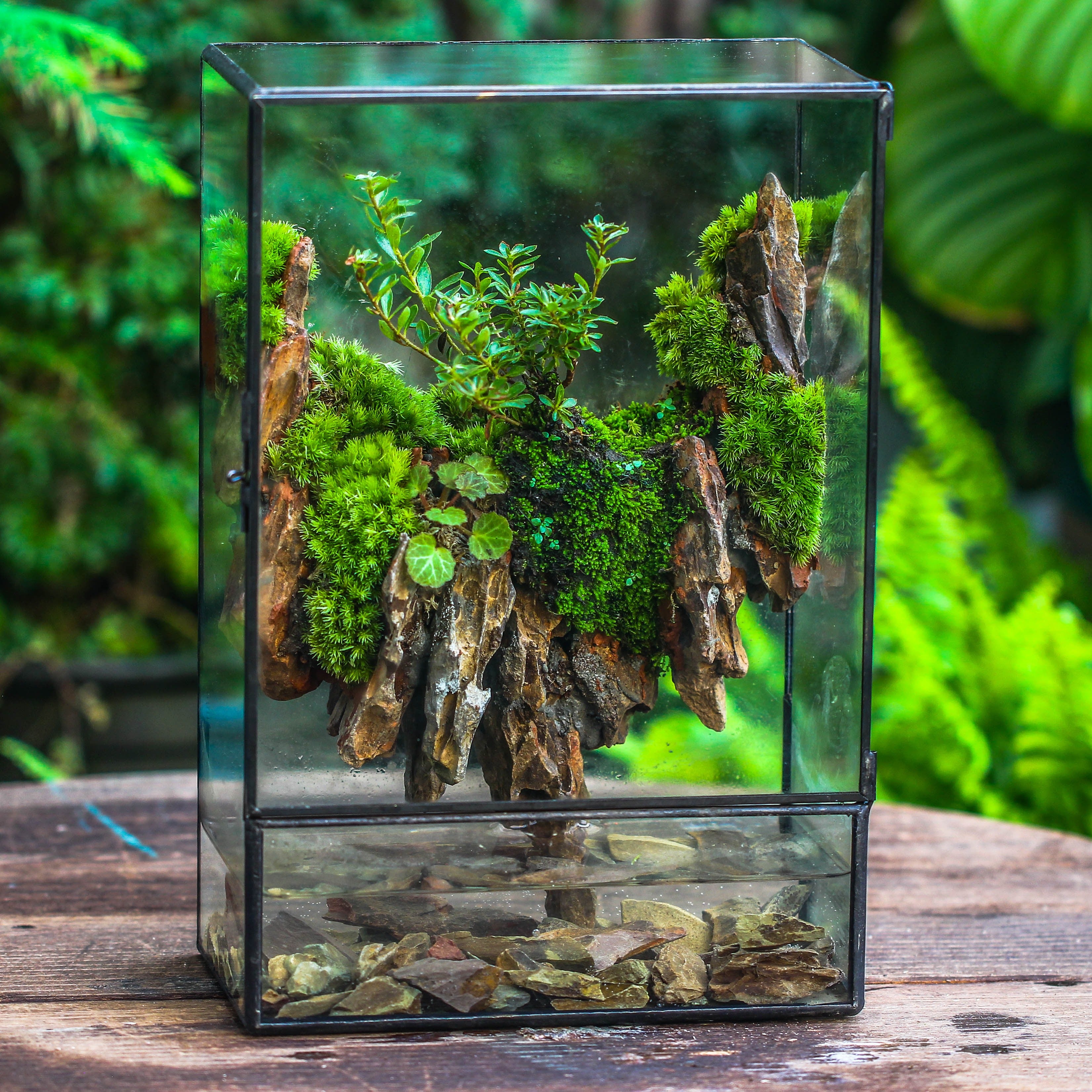 Close Geometric Glass Tin Terrarium , Watertight, 8x12" Container for Moss Wall, Fern, Landscape waterpond, 8x12", No plants Customizable - NCYPgarden