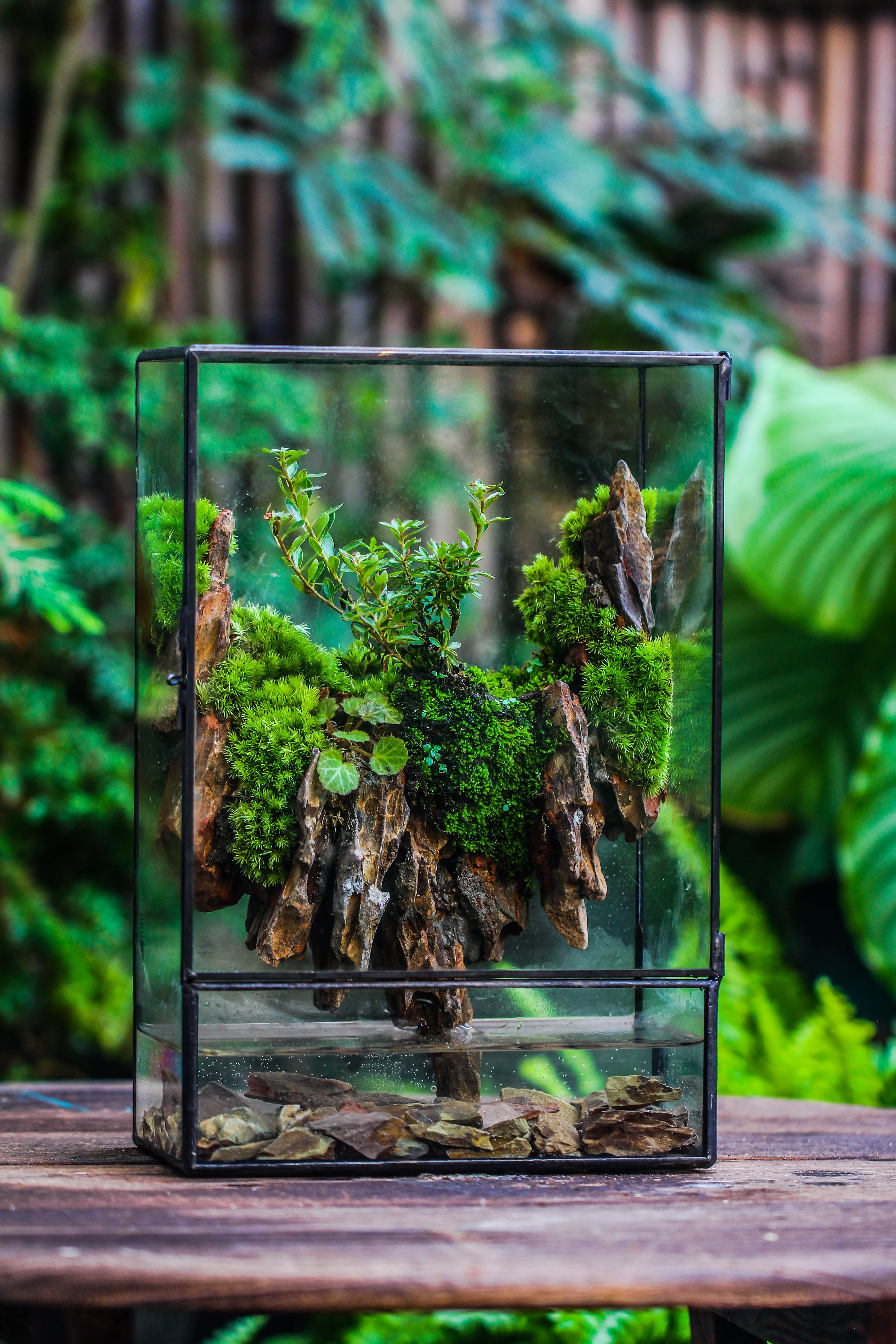 Close Geometric Glass Tin Terrarium , Watertight, 8x12" Container for Moss Wall, Fern, Landscape waterpond, 8x12", No plants Customizable - NCYPgarden