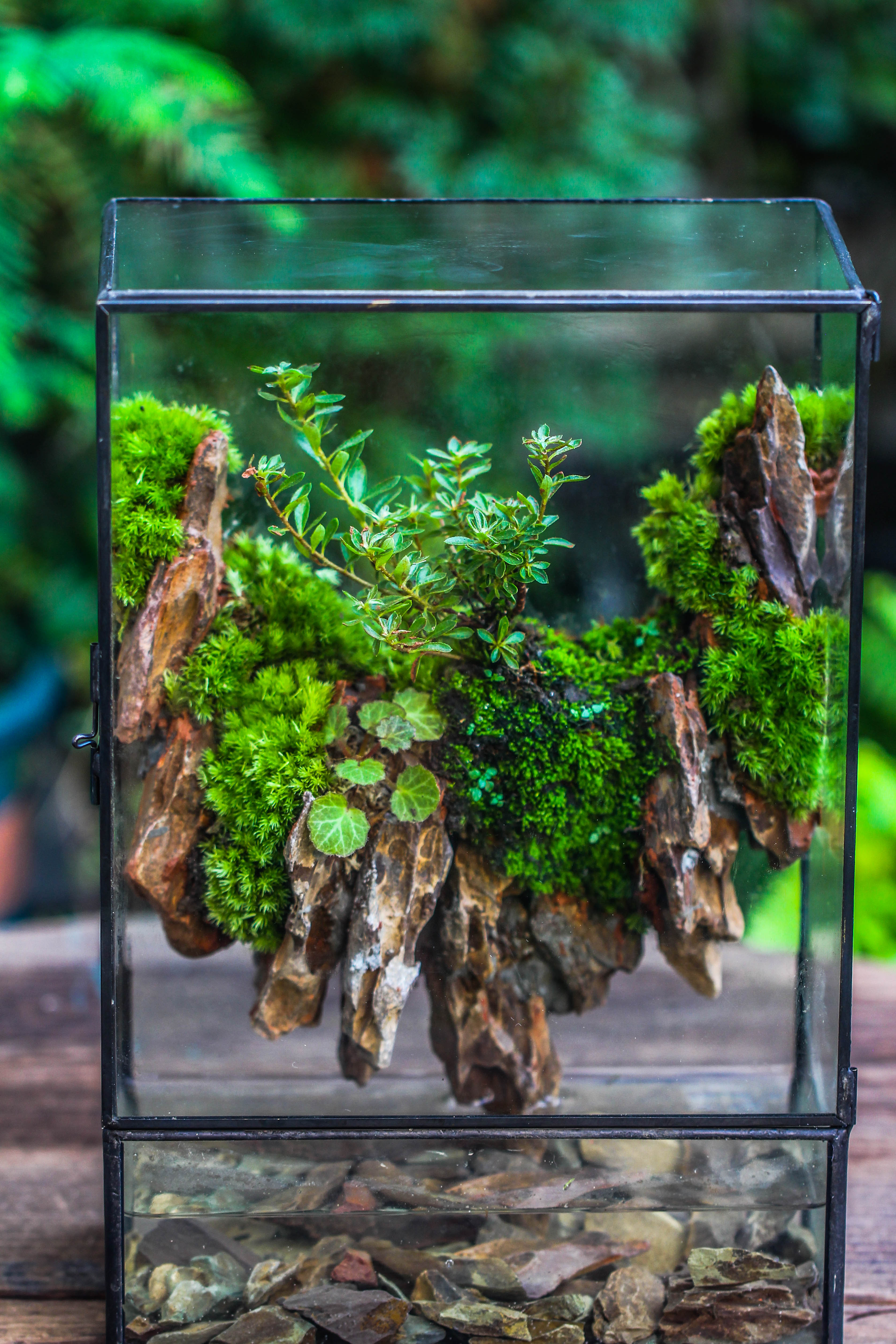 Close Geometric Glass Tin Terrarium , Watertight, 8x12" Container for Moss Wall, Fern, Landscape waterpond, 8x12", No plants Customizable - NCYPgarden