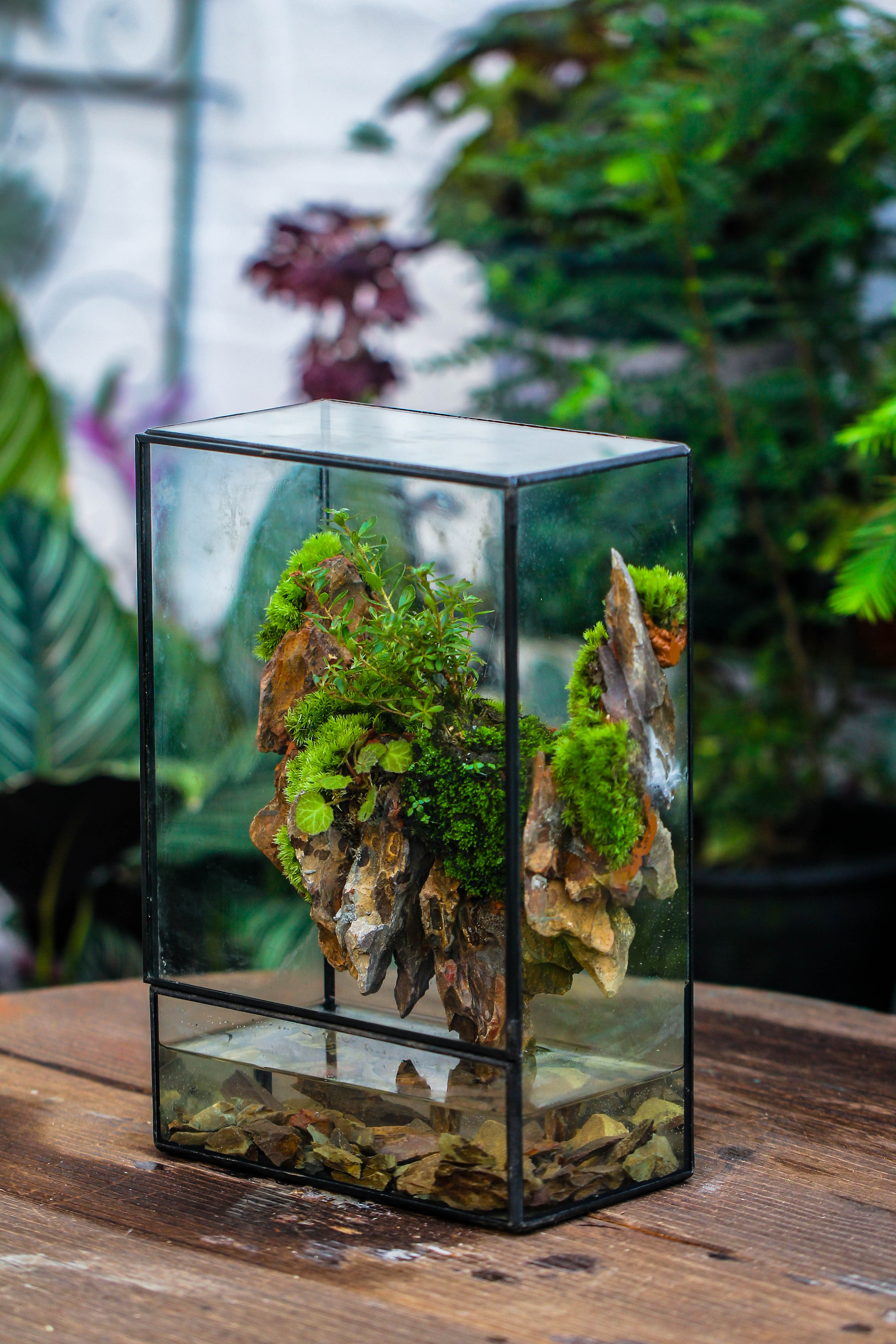 Close Geometric Glass Tin Terrarium , Watertight, 8x12" Container for Moss Wall, Fern, Landscape waterpond, 8x12", No plants Customizable - NCYPgarden