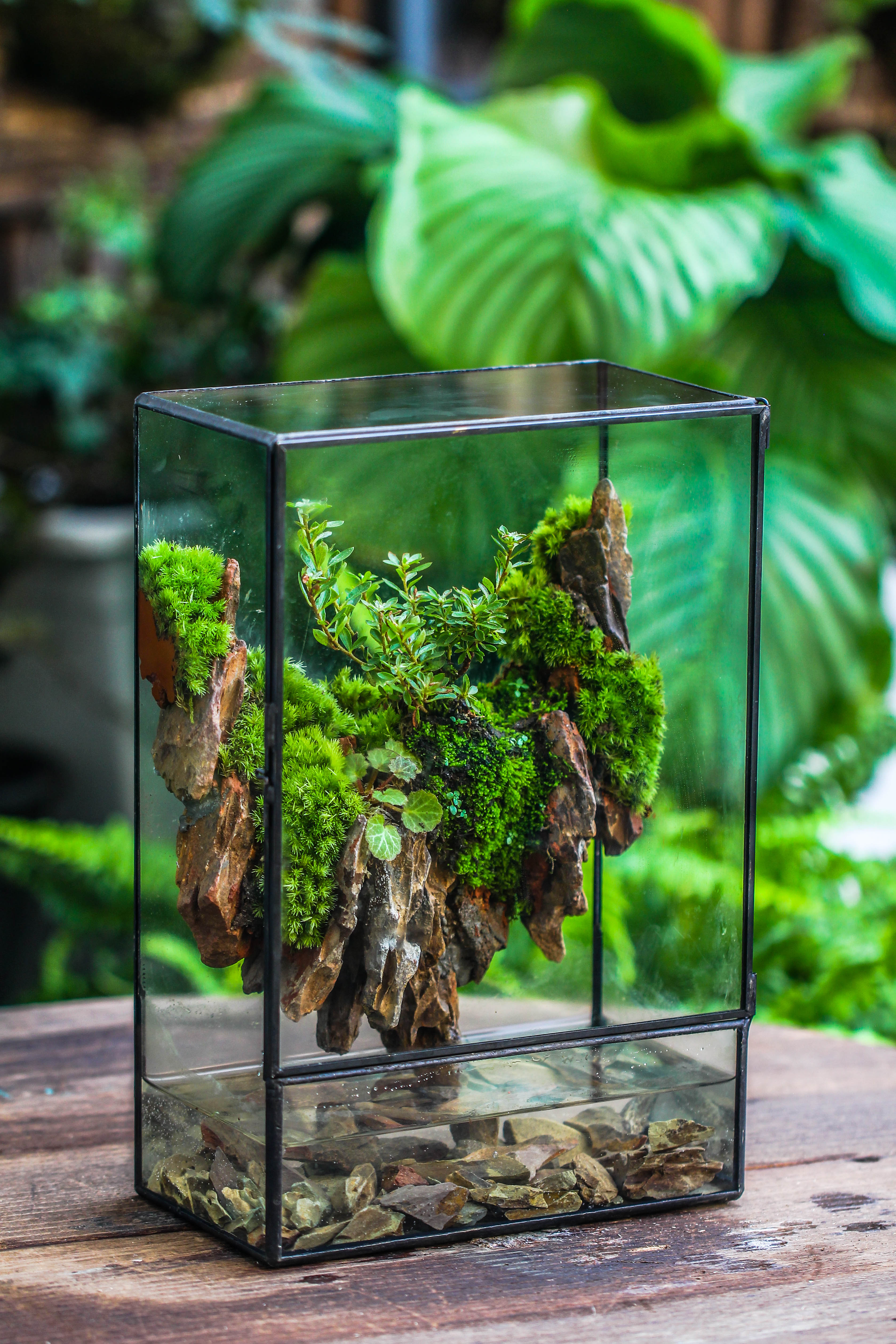 Close Geometric Glass Tin Terrarium , Watertight, 8x12" Container for Moss Wall, Fern, Landscape waterpond, 8x12", No plants Customizable - NCYPgarden