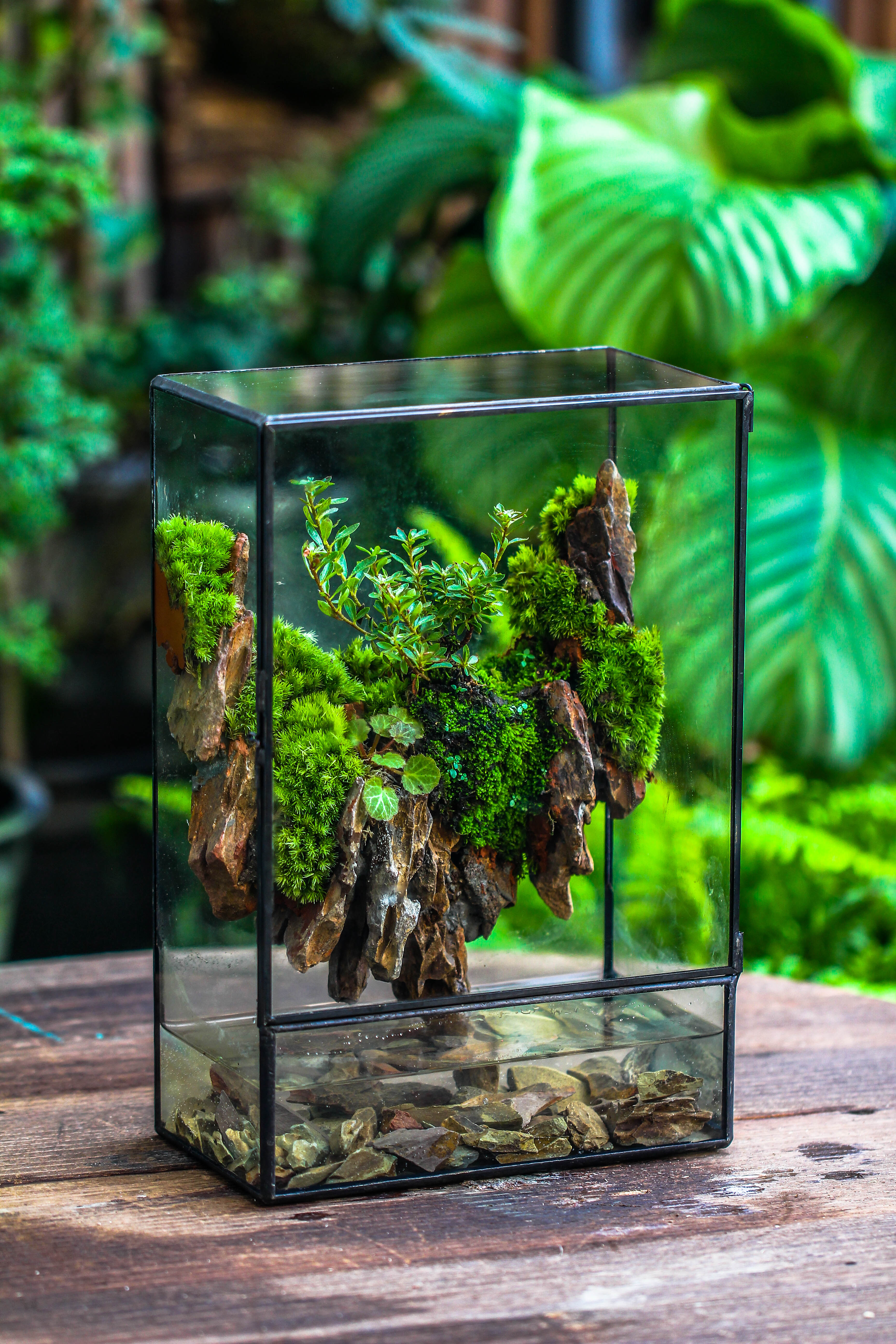 Close Geometric Glass Tin Terrarium , Watertight, 8x12" Container for Moss Wall, Fern, Landscape waterpond, 8x12", No plants Customizable - NCYPgarden