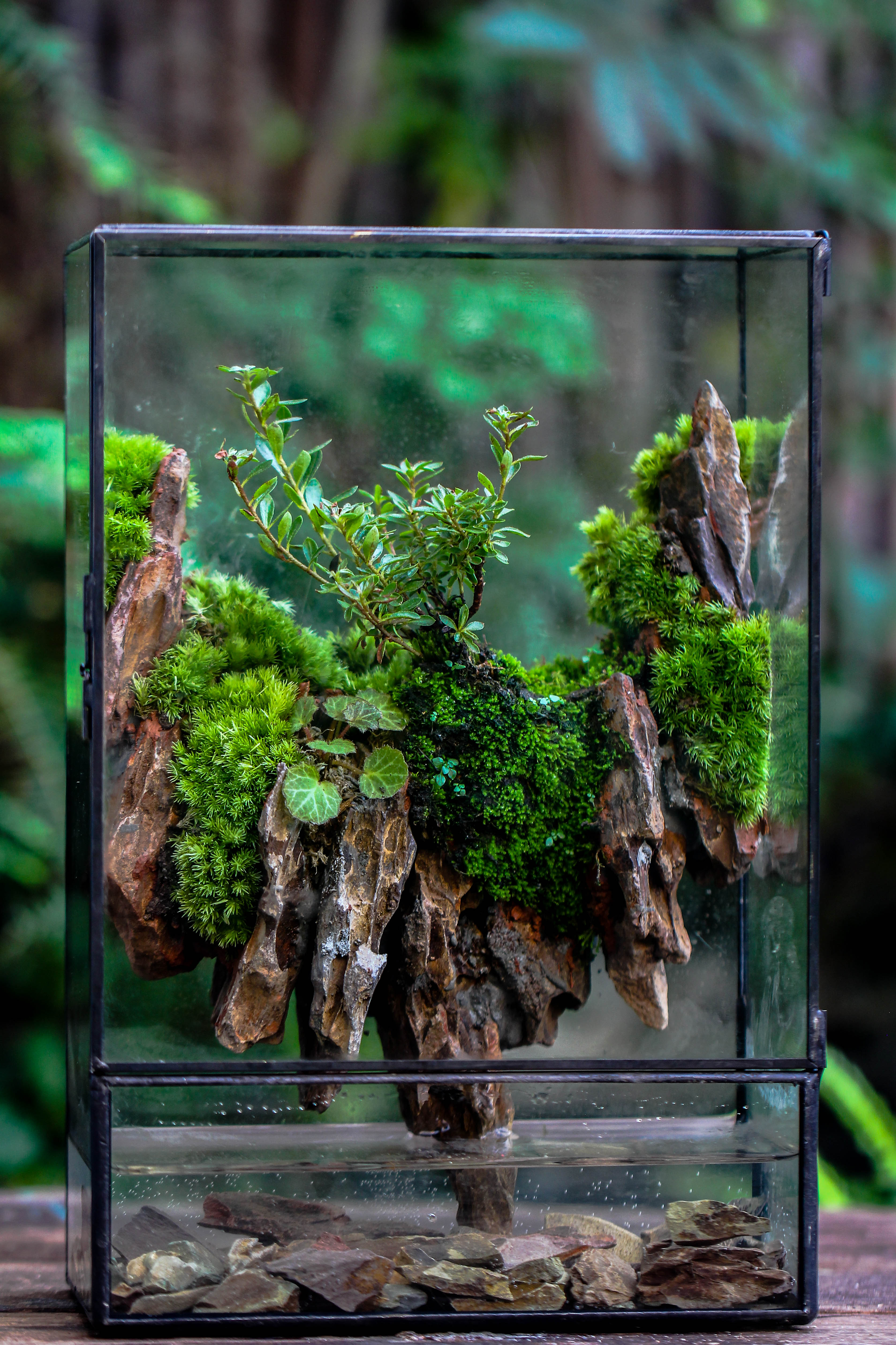 Close Geometric Glass Tin Terrarium , Watertight, 8x12" Container for Moss Wall, Fern, Landscape waterpond, 8x12", No plants Customizable - NCYPgarden