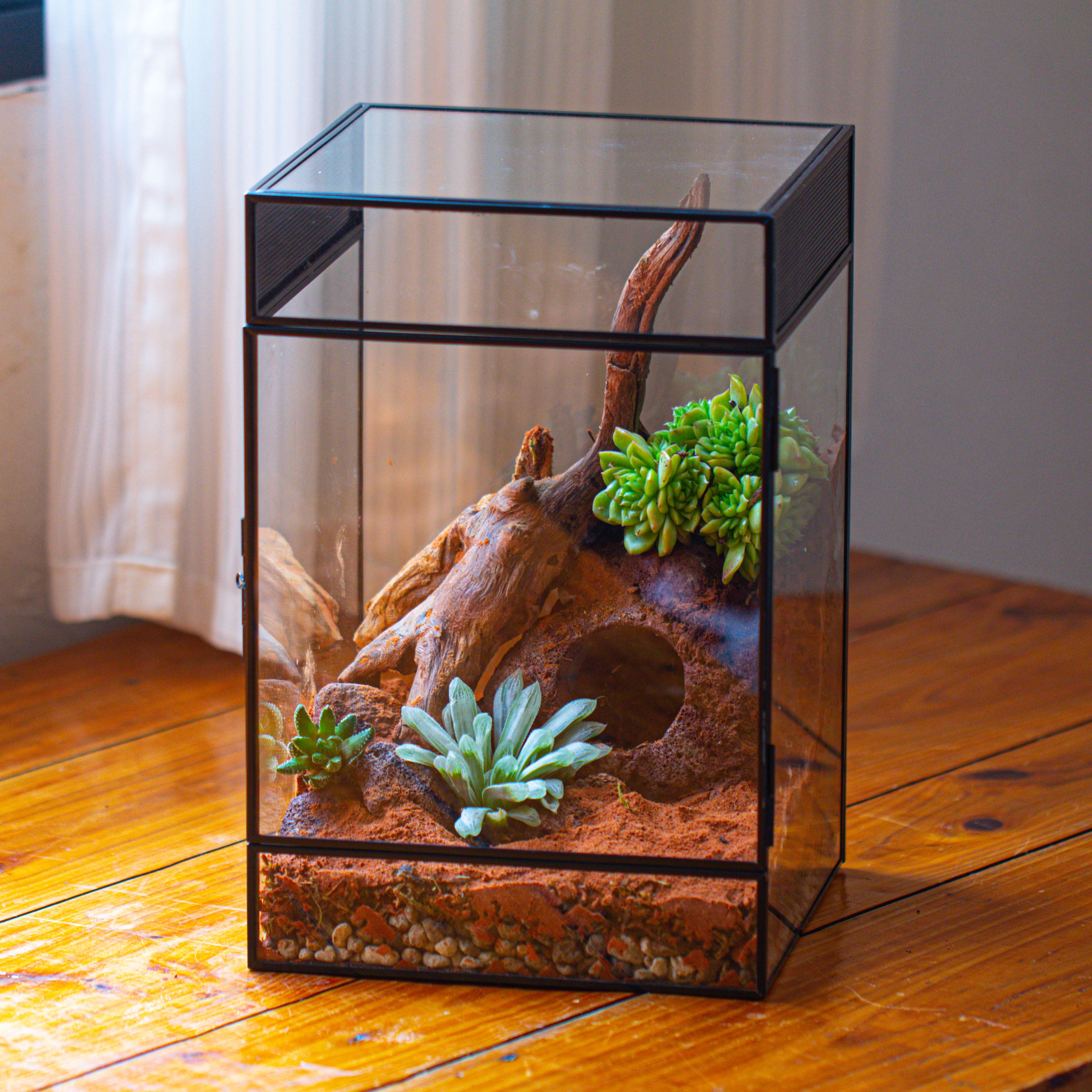 8x8x12 inches Large Handmade Glass Geometric Terrarium with Side Vent, for large insects