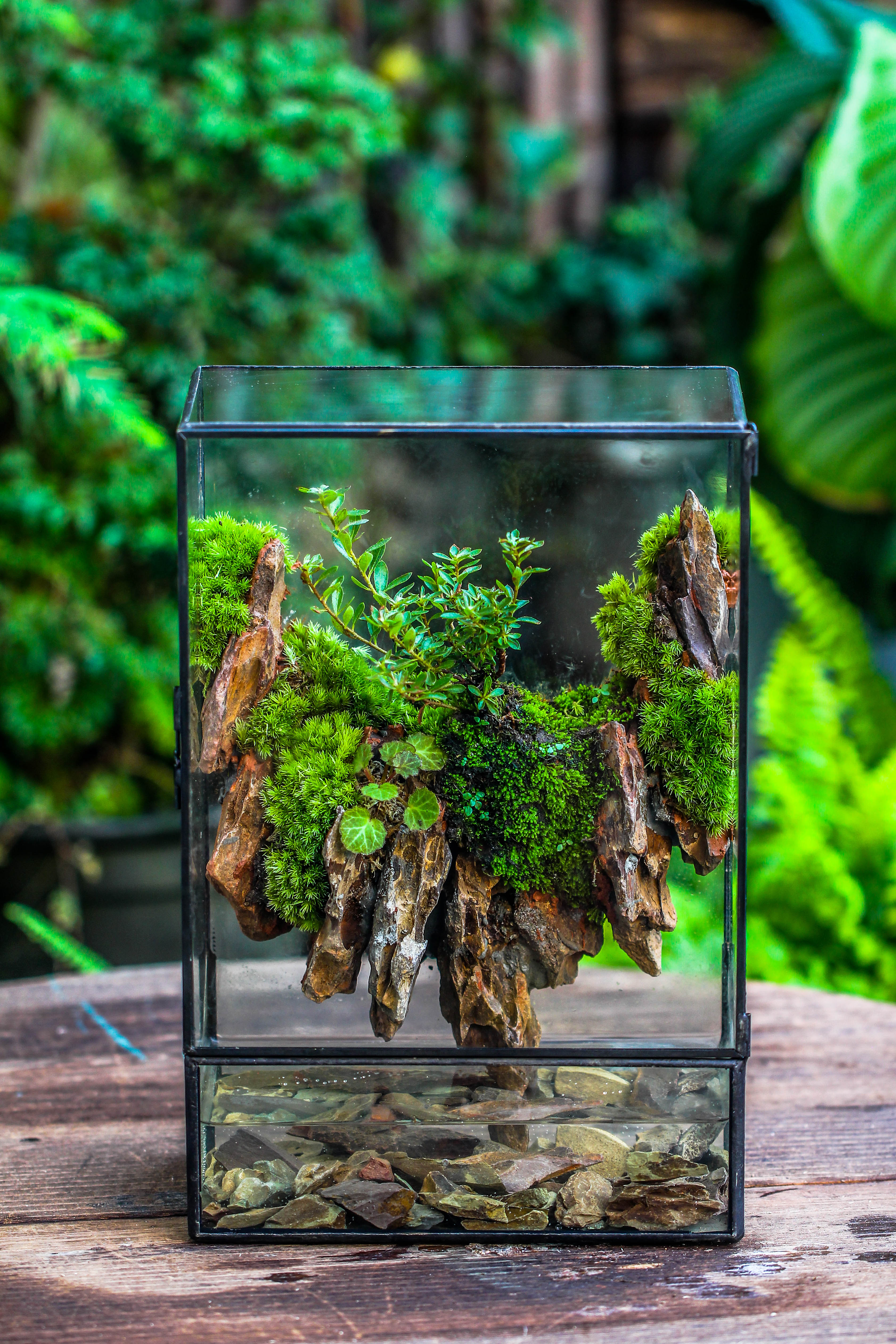 Close Geometric Glass Tin Terrarium , Watertight, 8x12" Container for Moss Wall, Fern, Landscape waterpond, 8x12", No plants Customizable - NCYPgarden