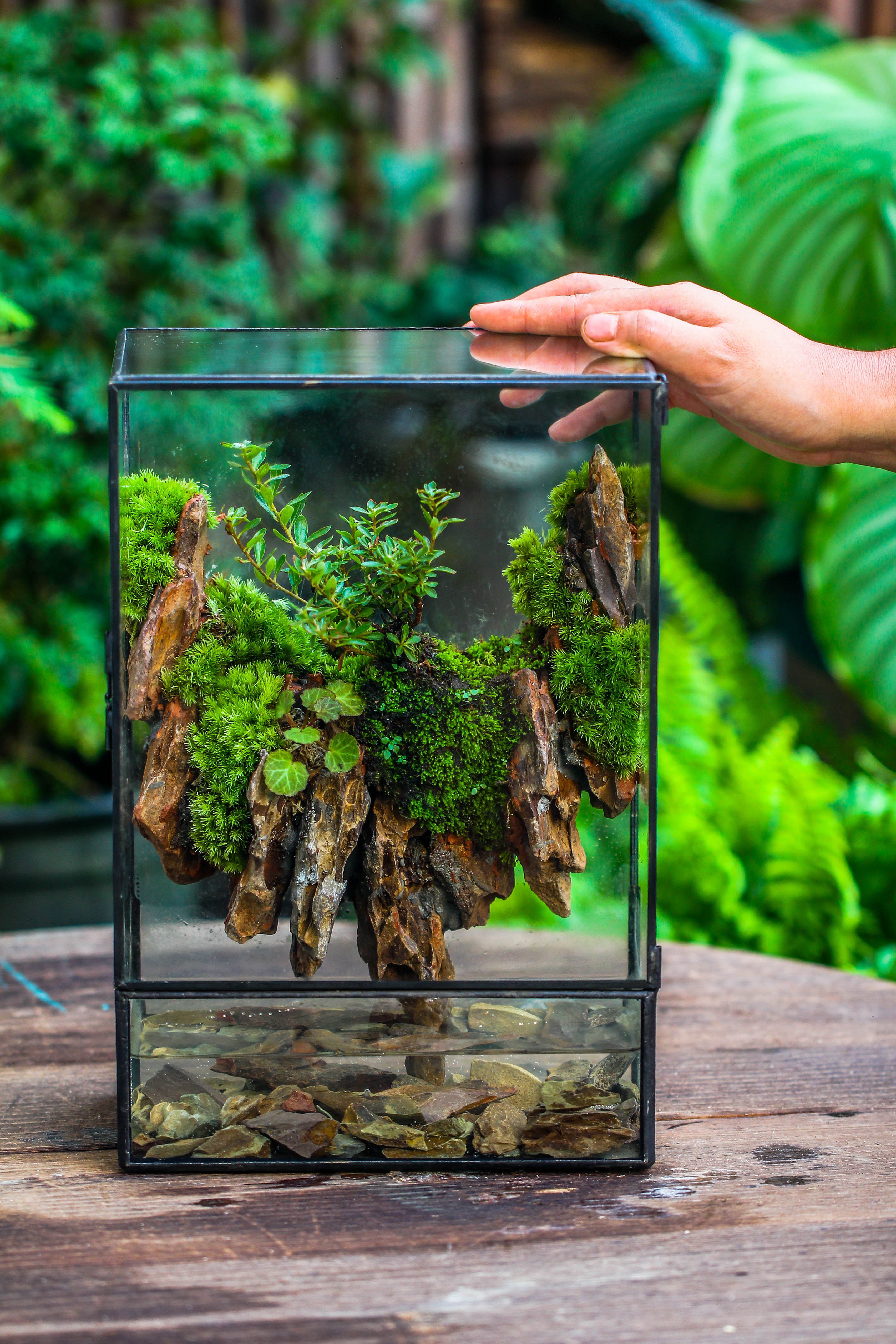 Close Geometric Glass Tin Terrarium , Watertight, 8x12" Container for Moss Wall, Fern, Landscape waterpond, 8x12", No plants Customizable - NCYPgarden