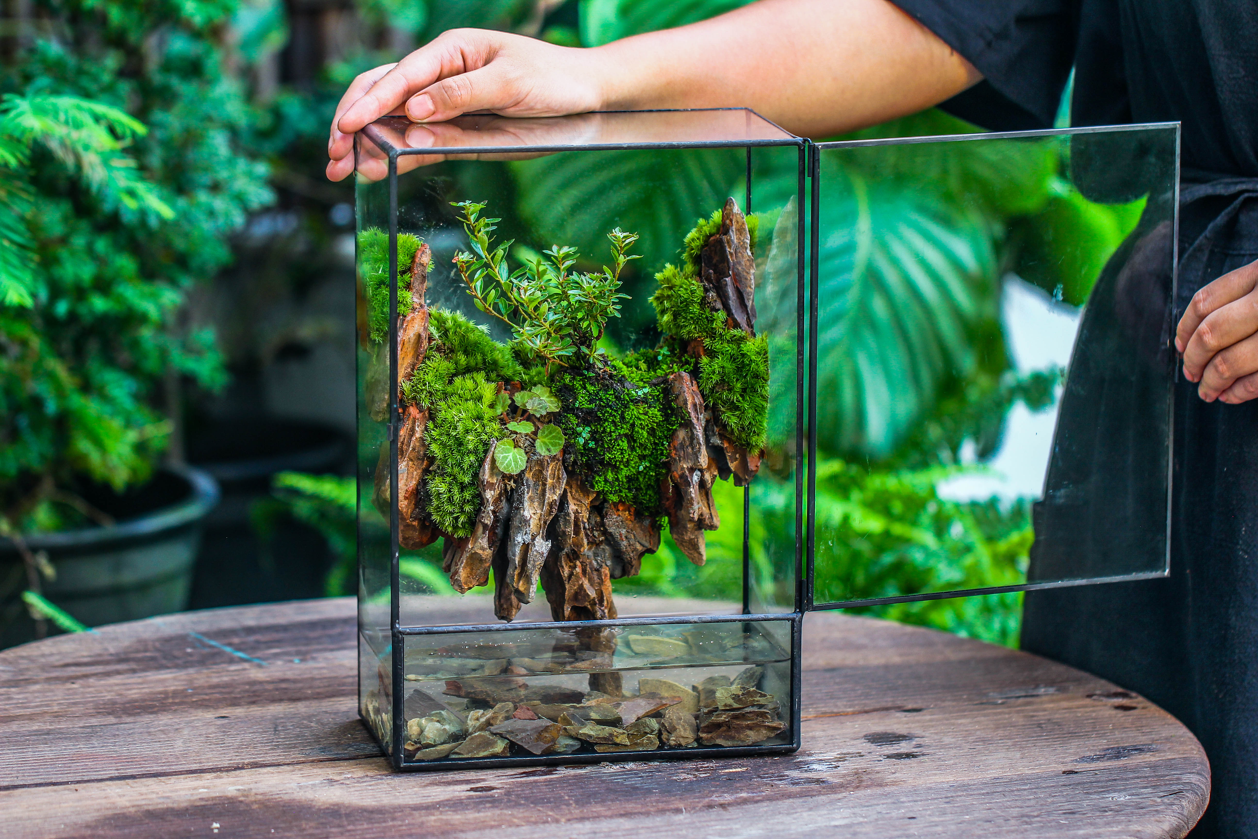 Close Geometric Glass Tin Terrarium , Watertight, 8x12" Container for Moss Wall, Fern, Landscape waterpond, 8x12", No plants Customizable - NCYPgarden