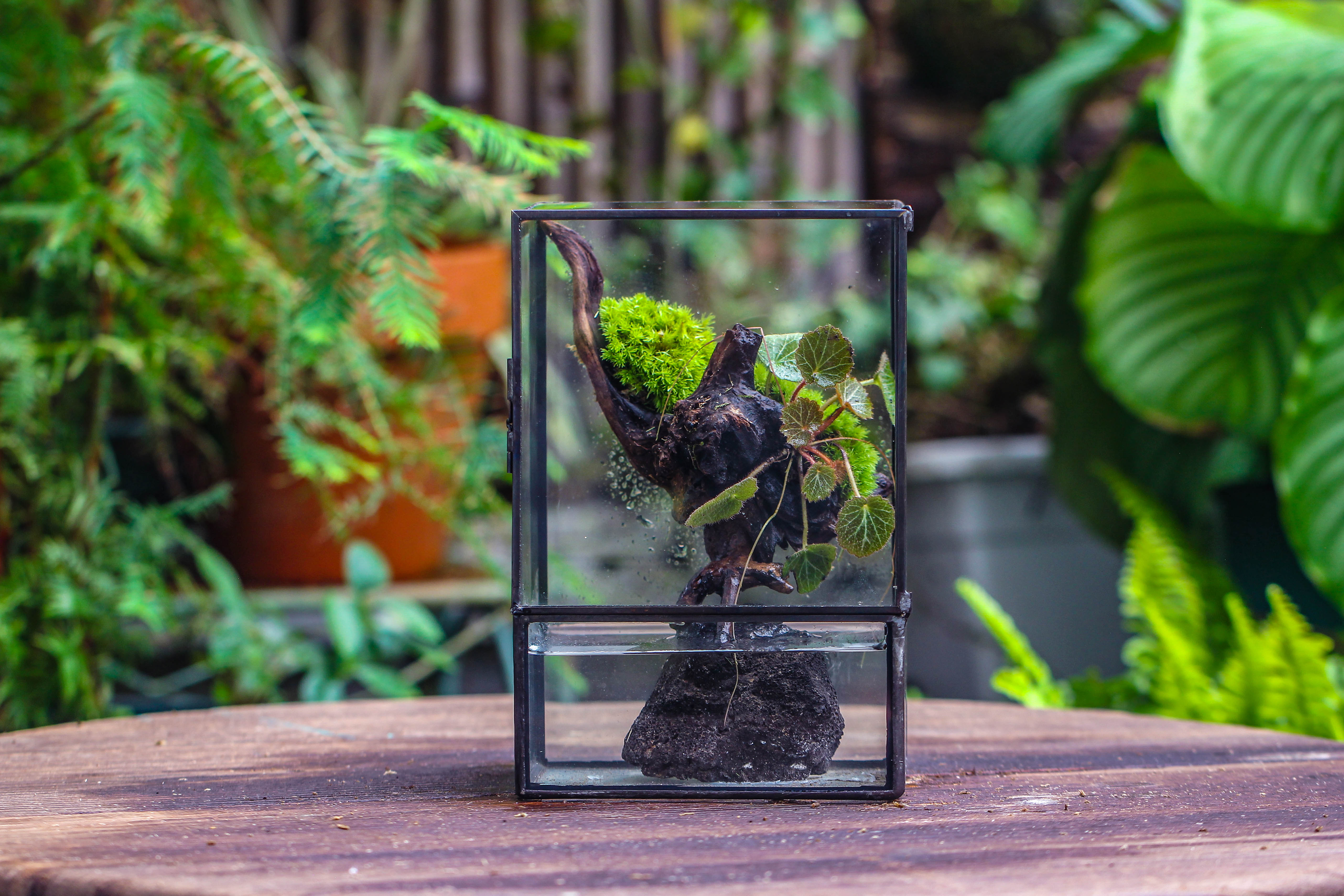 Close Geometric Glass Tin Terrarium , Watertight, 8x10" Container for Moss Wall, Fern, Landscape waterpond, No plants - NCYPgarden