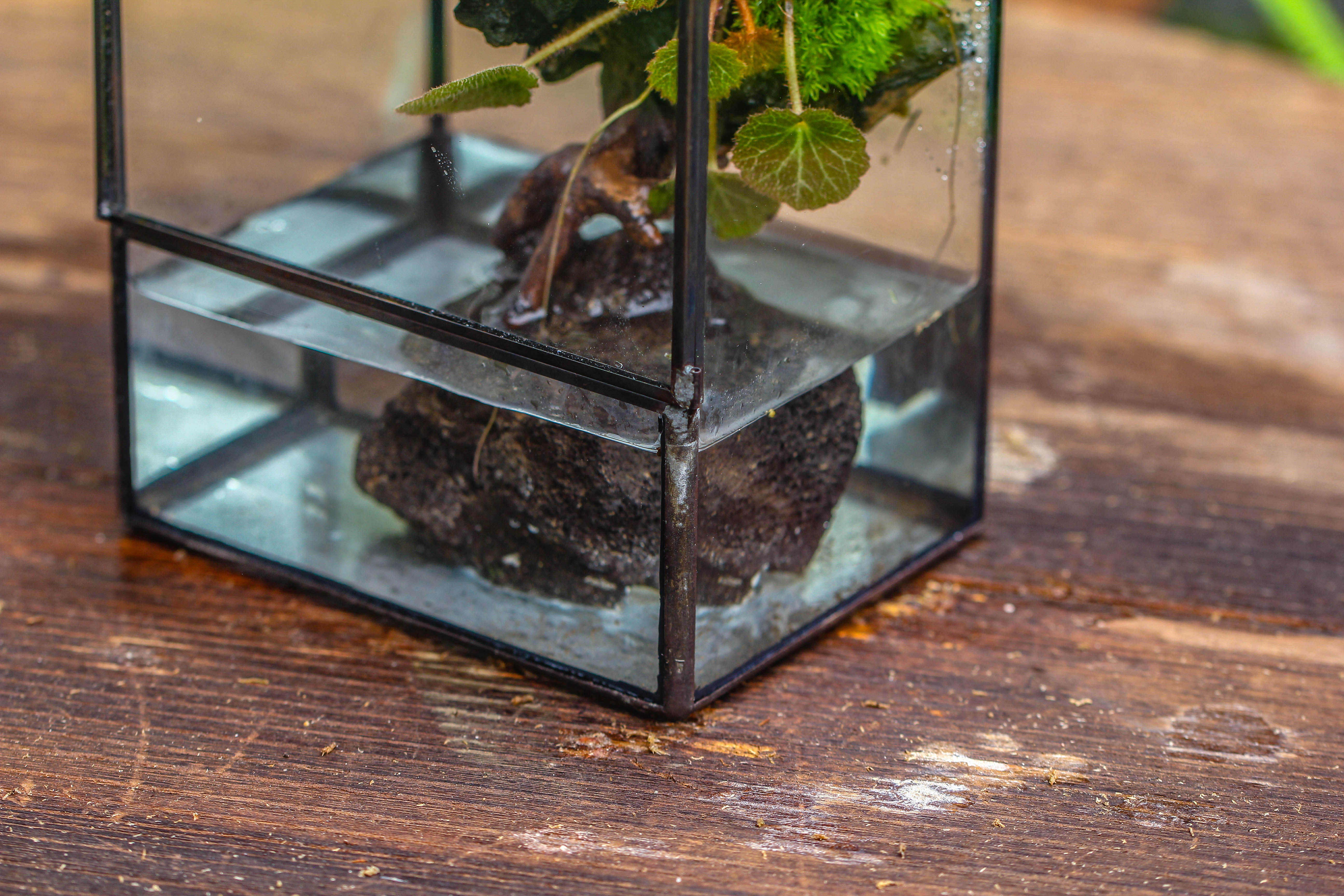 Close Geometric Glass Tin Terrarium , Watertight, 8x10" Container for Moss Wall, Fern, Landscape waterpond, No plants - NCYPgarden