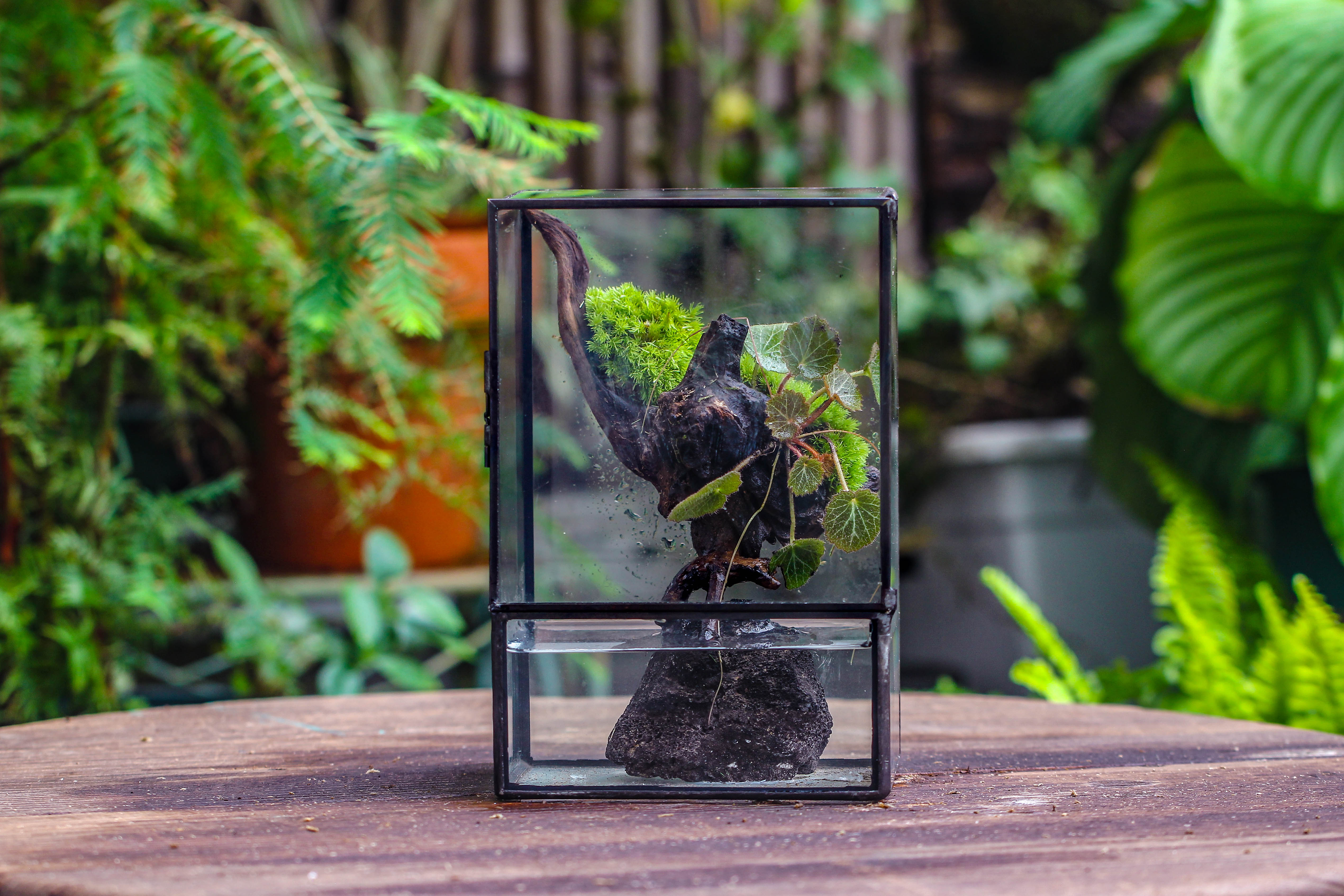 Close Geometric Glass Tin Terrarium , Watertight, 8x10" Container for Moss Wall, Fern, Landscape waterpond, No plants - NCYPgarden