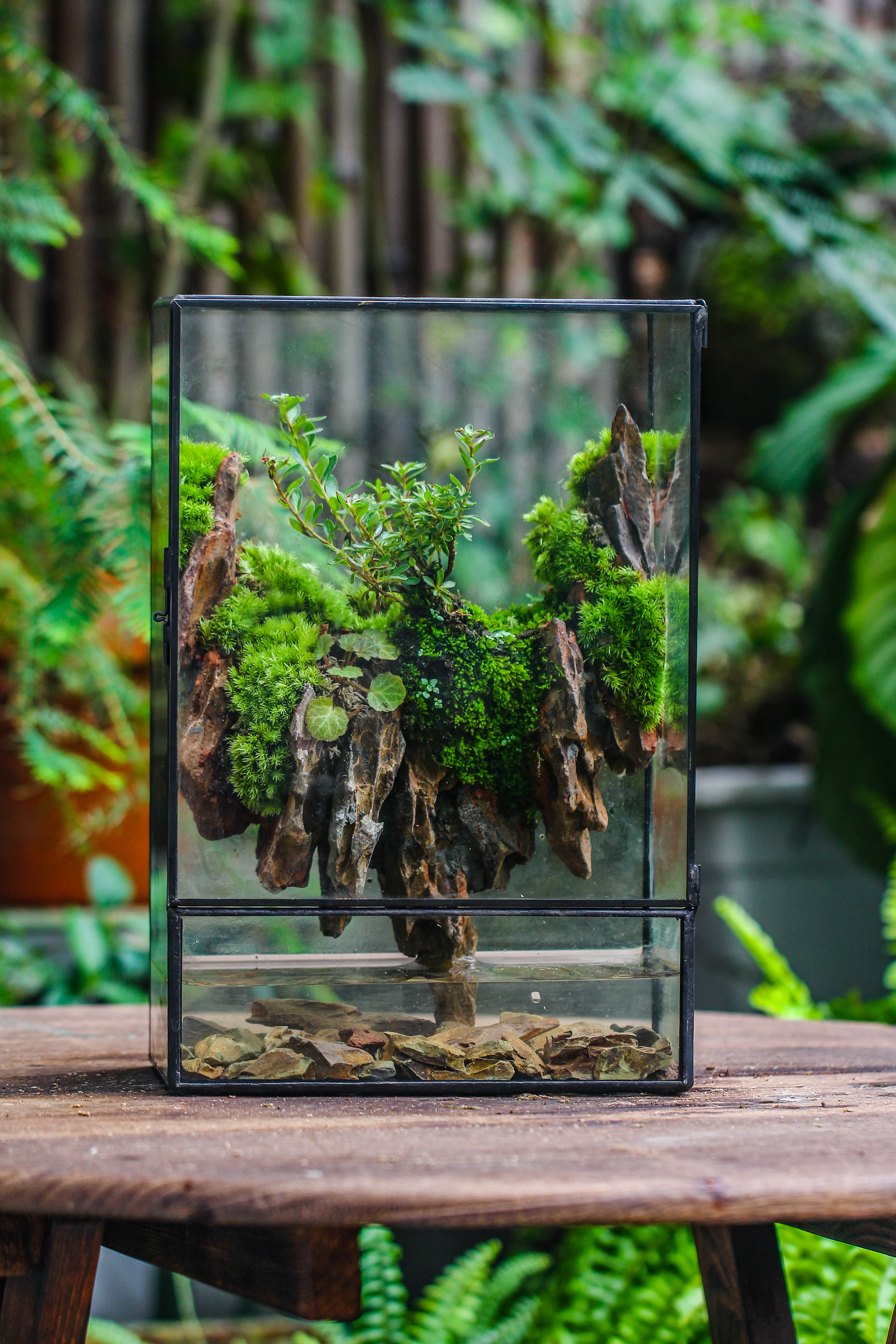 Close Geometric Glass Tin Terrarium , Watertight, 8x12" Container for Moss Wall, Fern, Landscape waterpond, 8x12", No plants Customizable - NCYPgarden