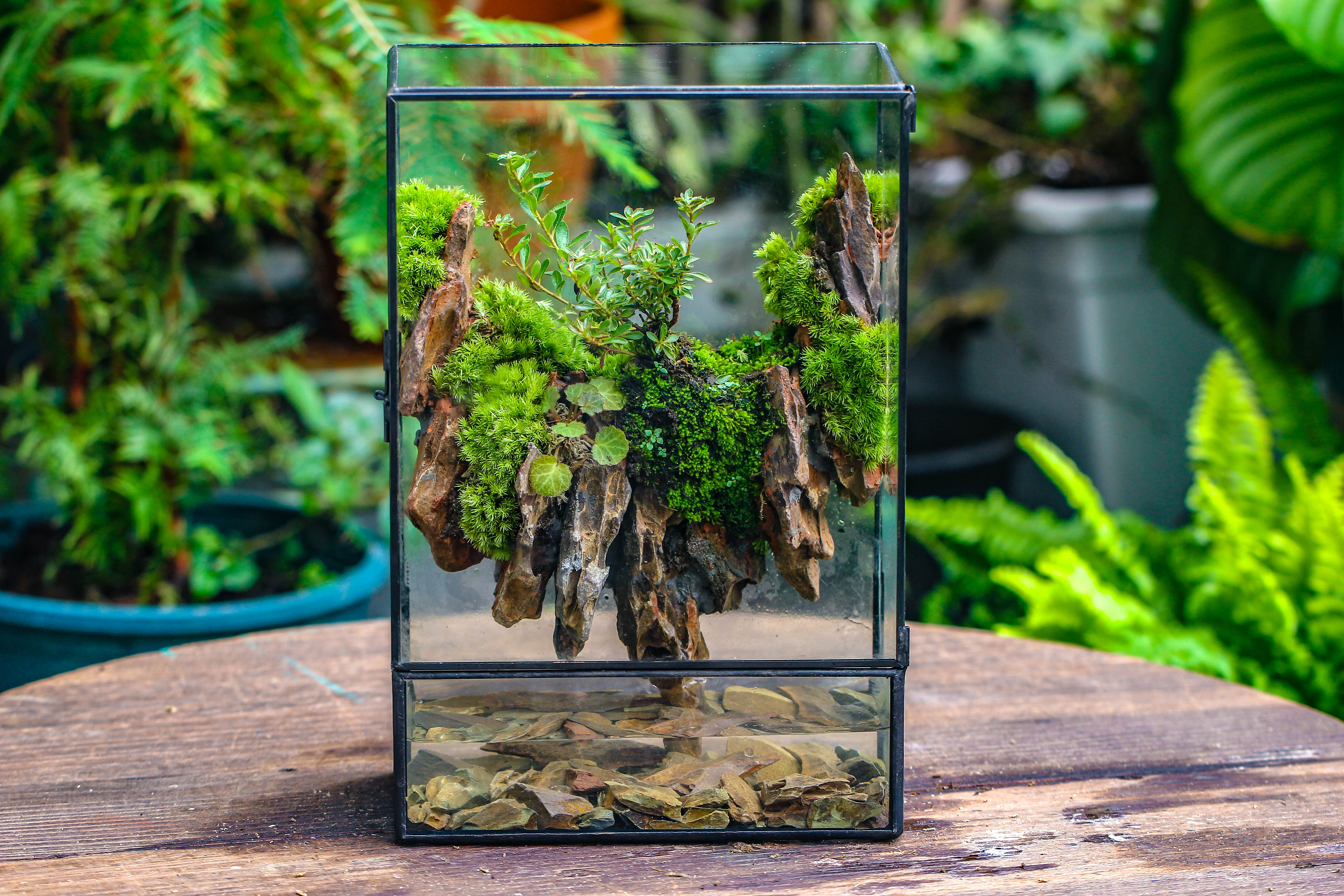 Close Geometric Glass Tin Terrarium , Watertight, 8x12" Container for Moss Wall, Fern, Landscape waterpond, 8x12", No plants Customizable - NCYPgarden