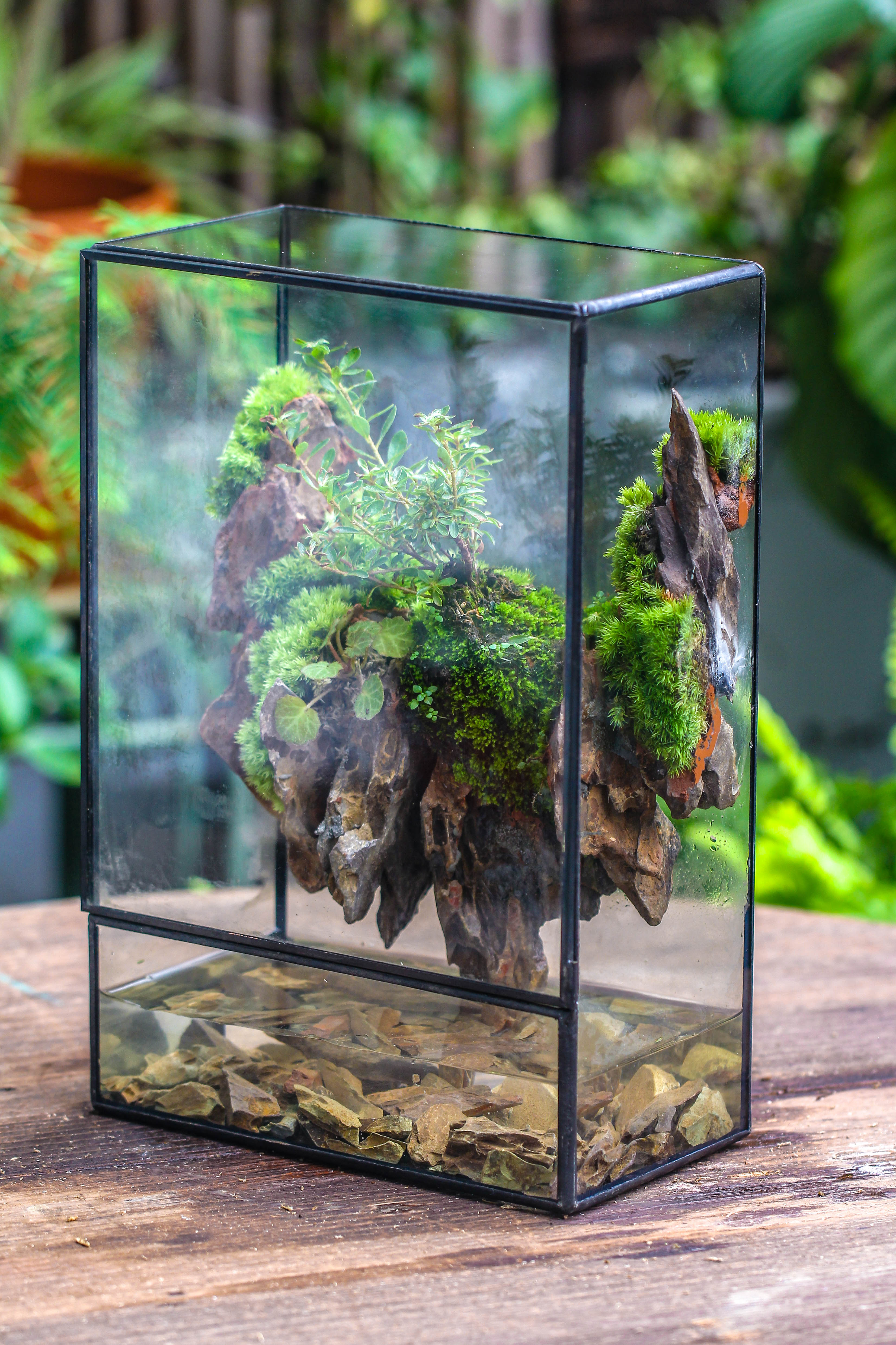 Close Geometric Glass Tin Terrarium , Watertight, 8x12" Container for Moss Wall, Fern, Landscape waterpond, 8x12", No plants Customizable - NCYPgarden