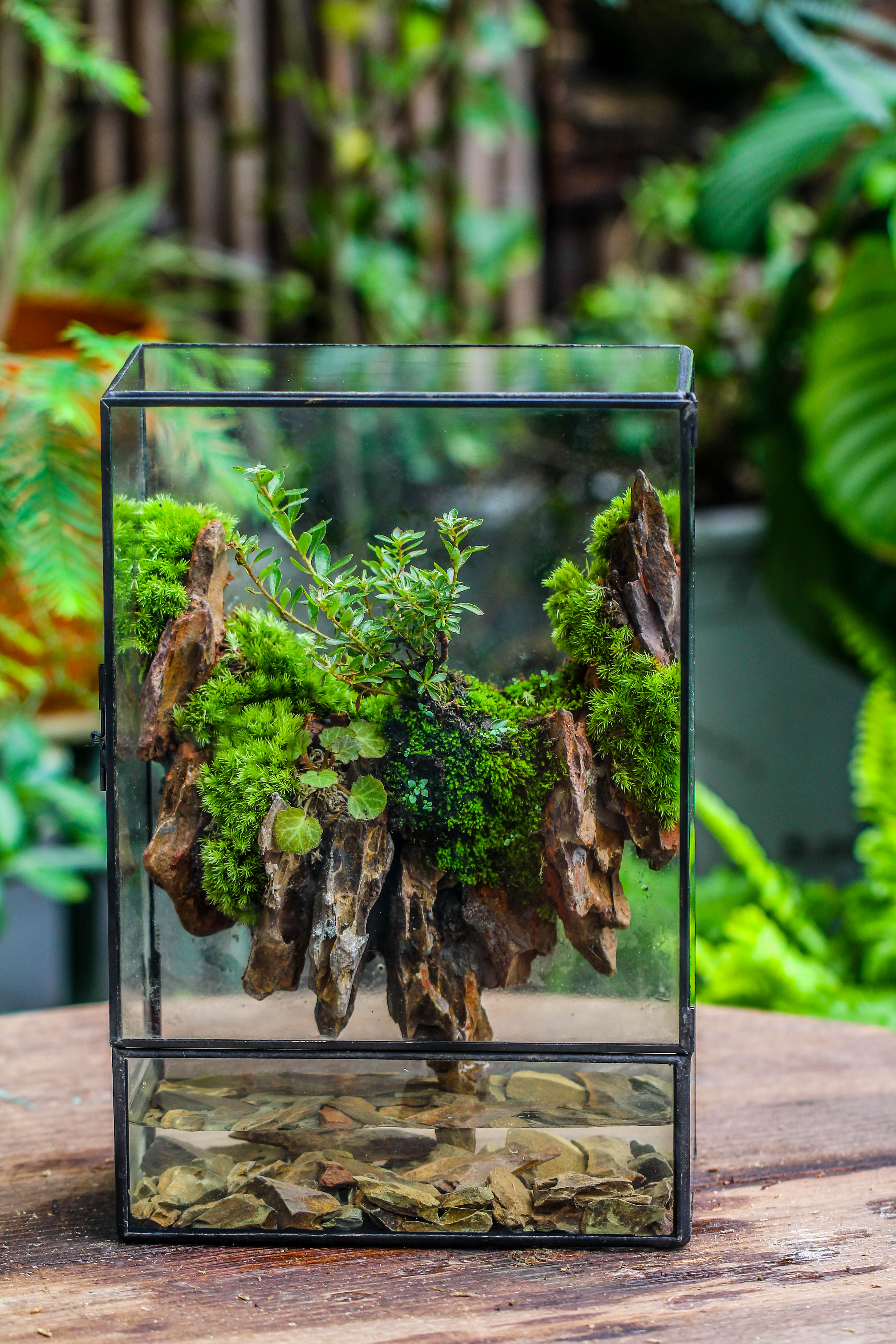 Close Geometric Glass Tin Terrarium , Watertight, 8x12" Container for Moss Wall, Fern, Landscape waterpond, 8x12", No plants Customizable - NCYPgarden