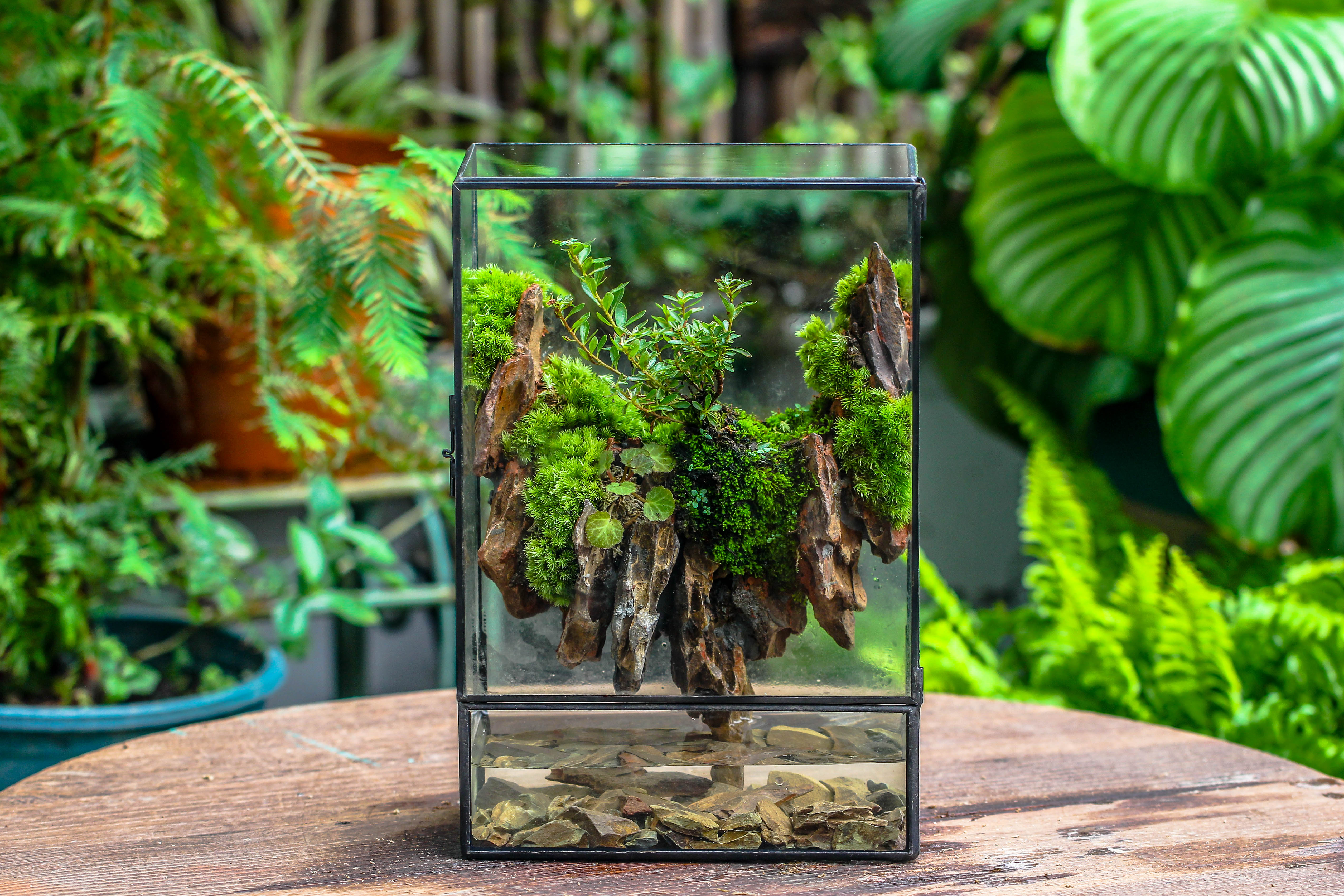 Close Geometric Glass Tin Terrarium , Watertight, 8x12" Container for Moss Wall, Fern, Landscape waterpond, 8x12", No plants Customizable - NCYPgarden