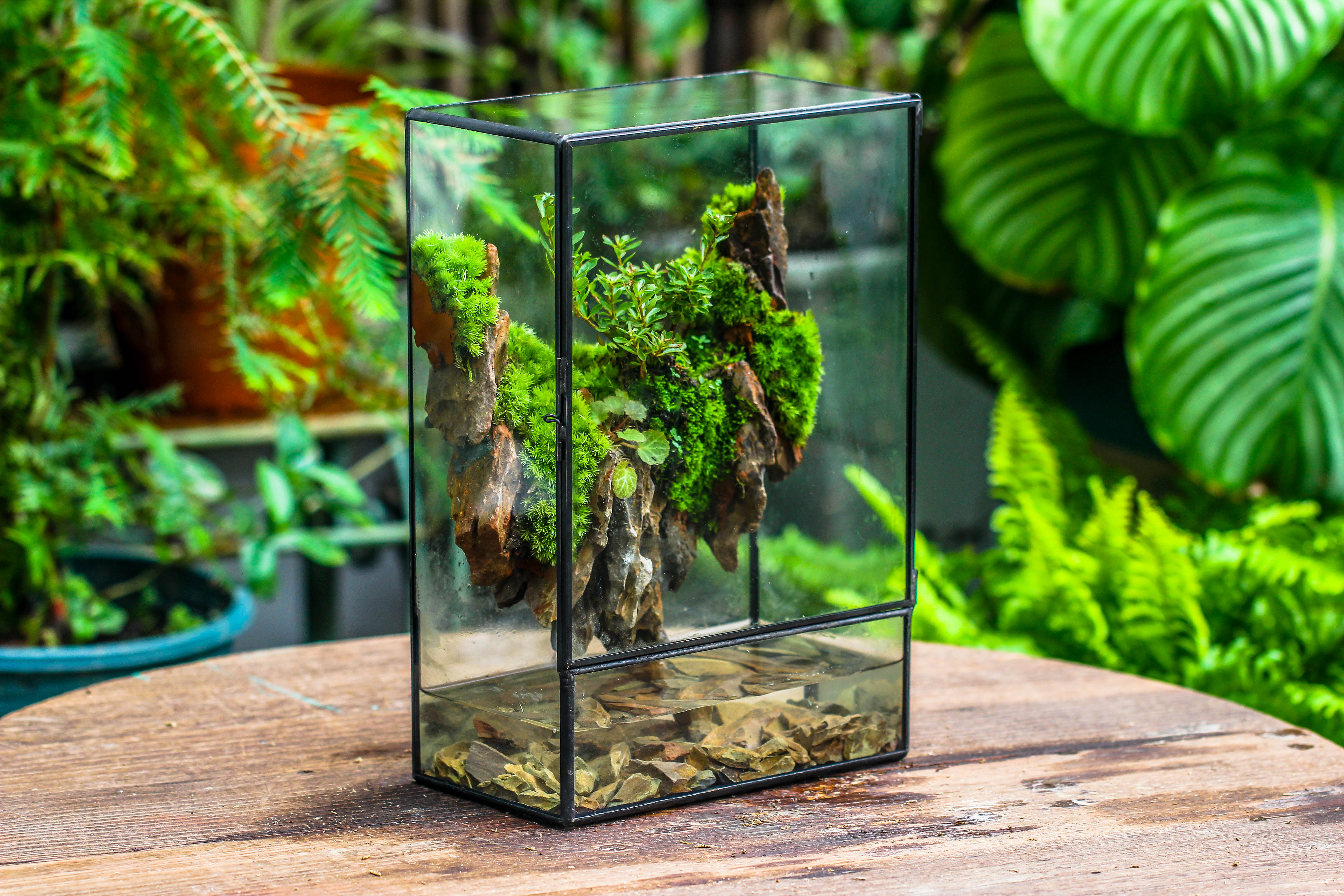 Close Geometric Glass Tin Terrarium , Watertight, 8x12" Container for Moss Wall, Fern, Landscape waterpond, 8x12", No plants Customizable - NCYPgarden