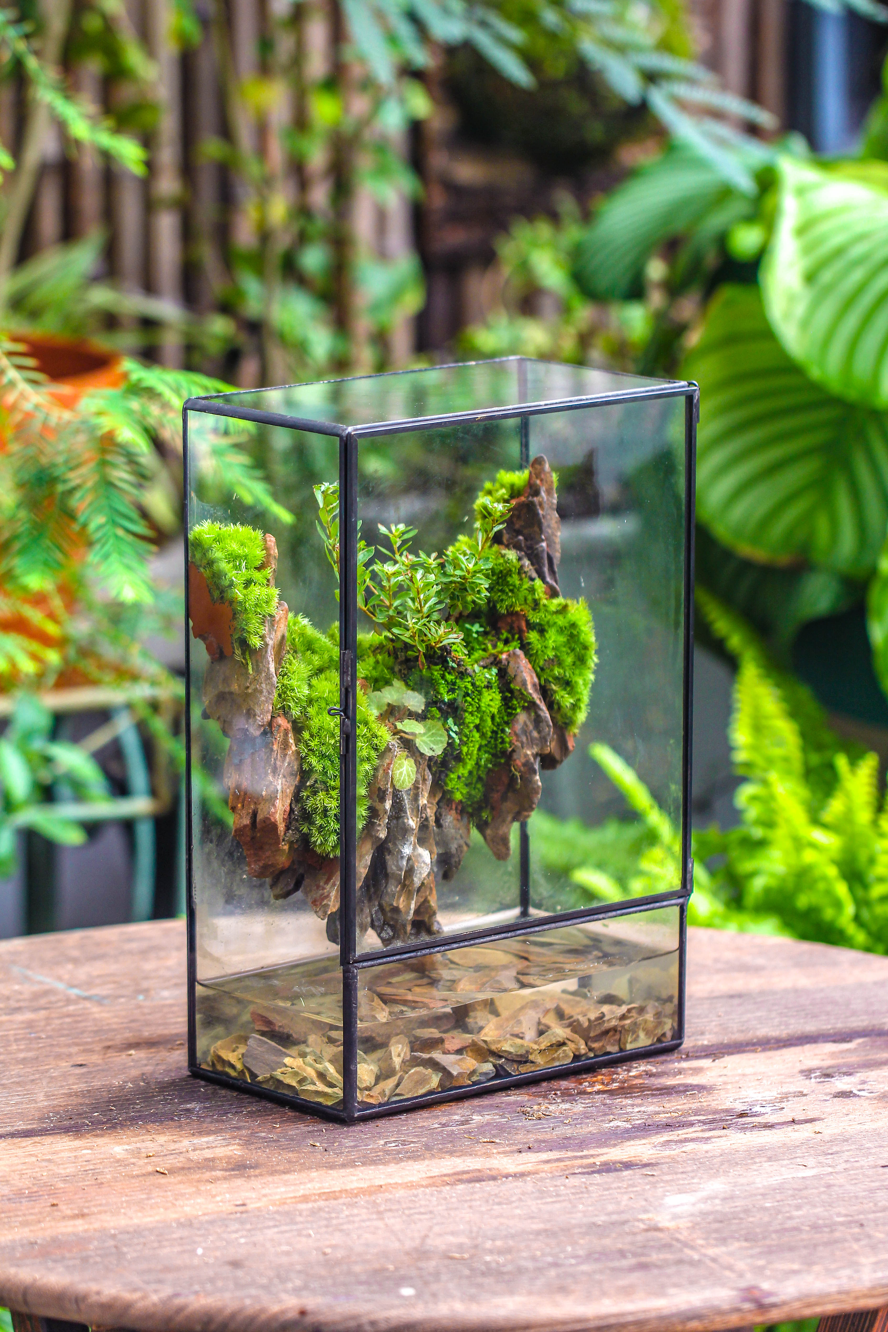 Close Geometric Glass Tin Terrarium , Watertight, 8x12" Container for Moss Wall, Fern, Landscape waterpond, 8x12", No plants Customizable - NCYPgarden