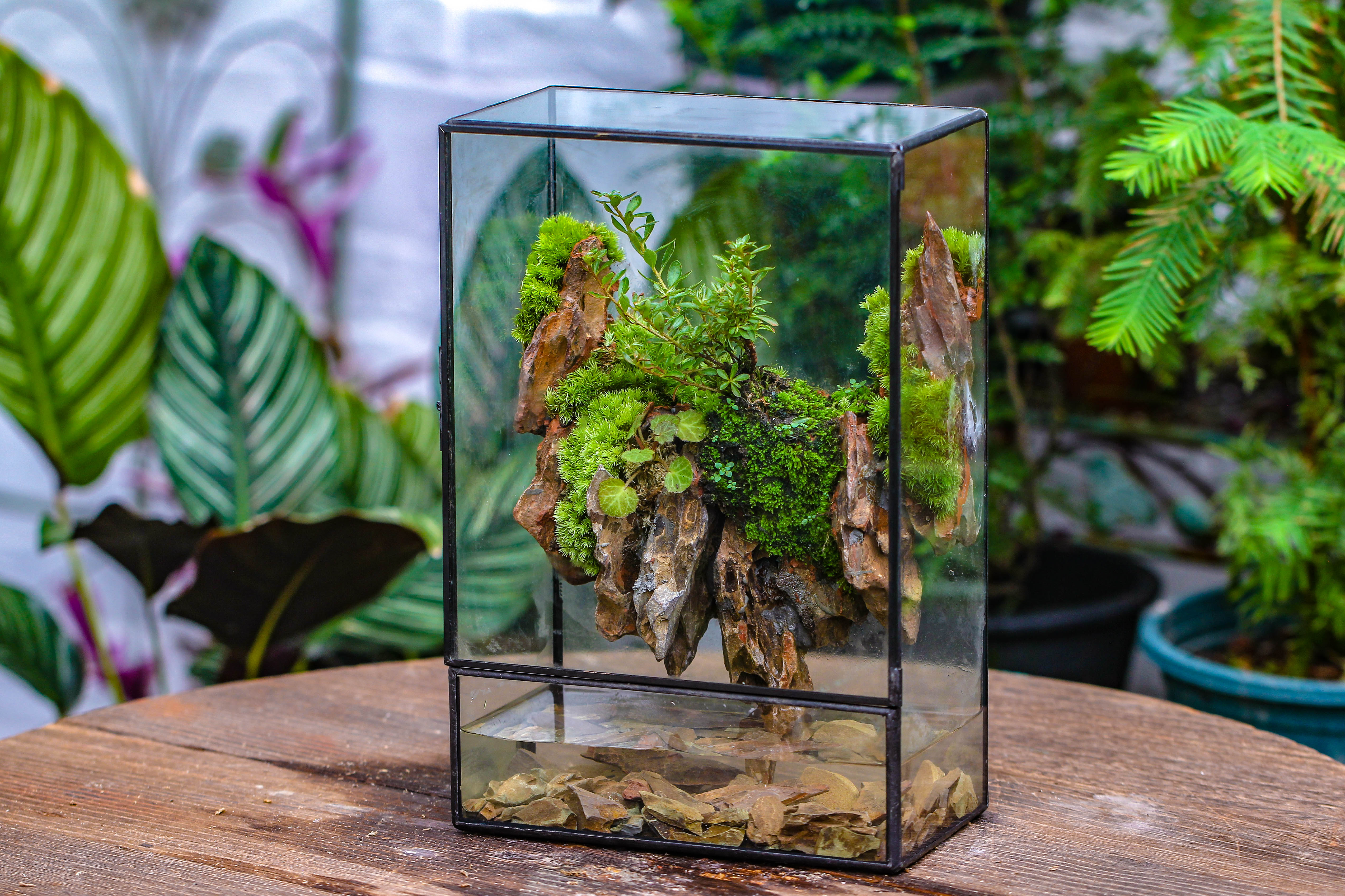 Close Geometric Glass Tin Terrarium , Watertight, 8x12" Container for Moss Wall, Fern, Landscape waterpond, 8x12", No plants Customizable - NCYPgarden