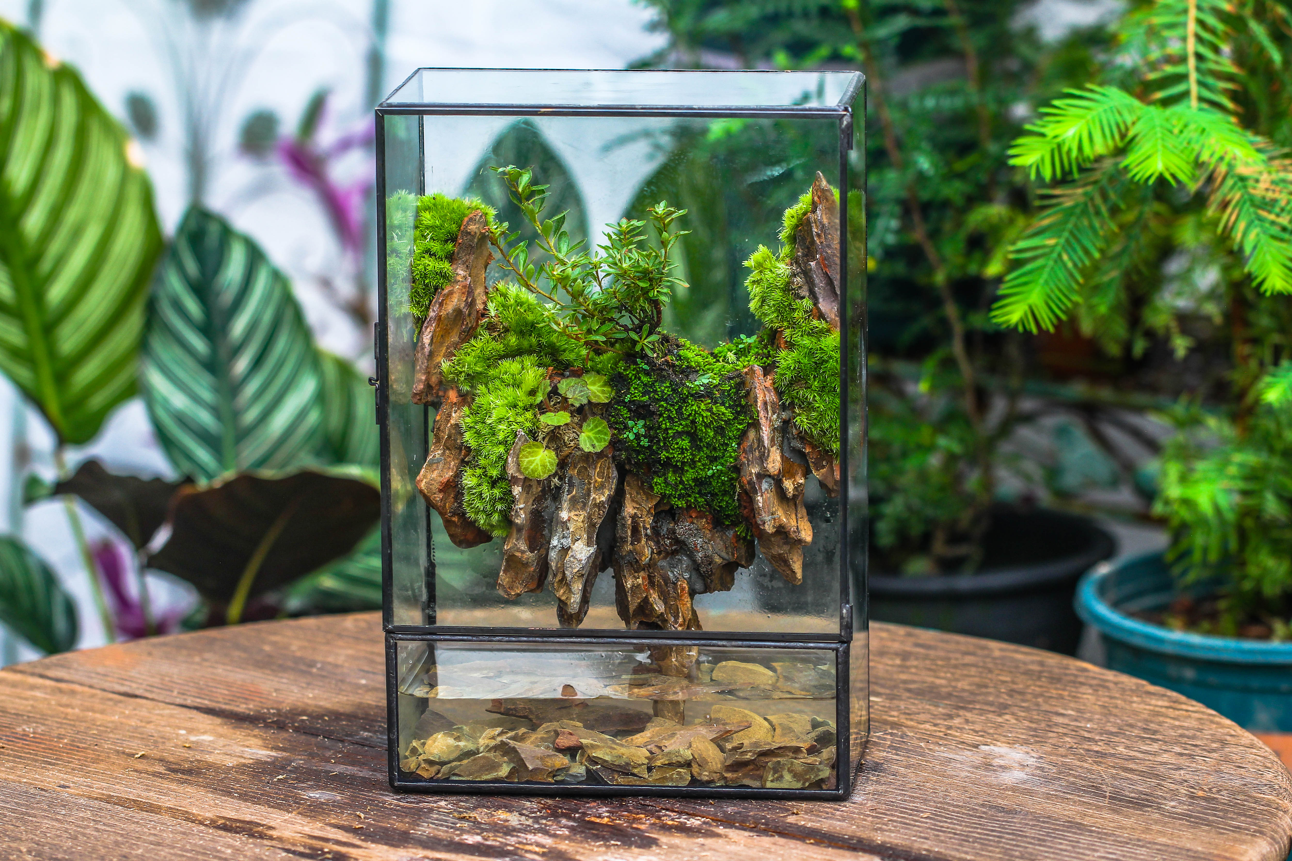 Close Geometric Glass Tin Terrarium , Watertight, 8x12" Container for Moss Wall, Fern, Landscape waterpond, 8x12", No plants Customizable - NCYPgarden