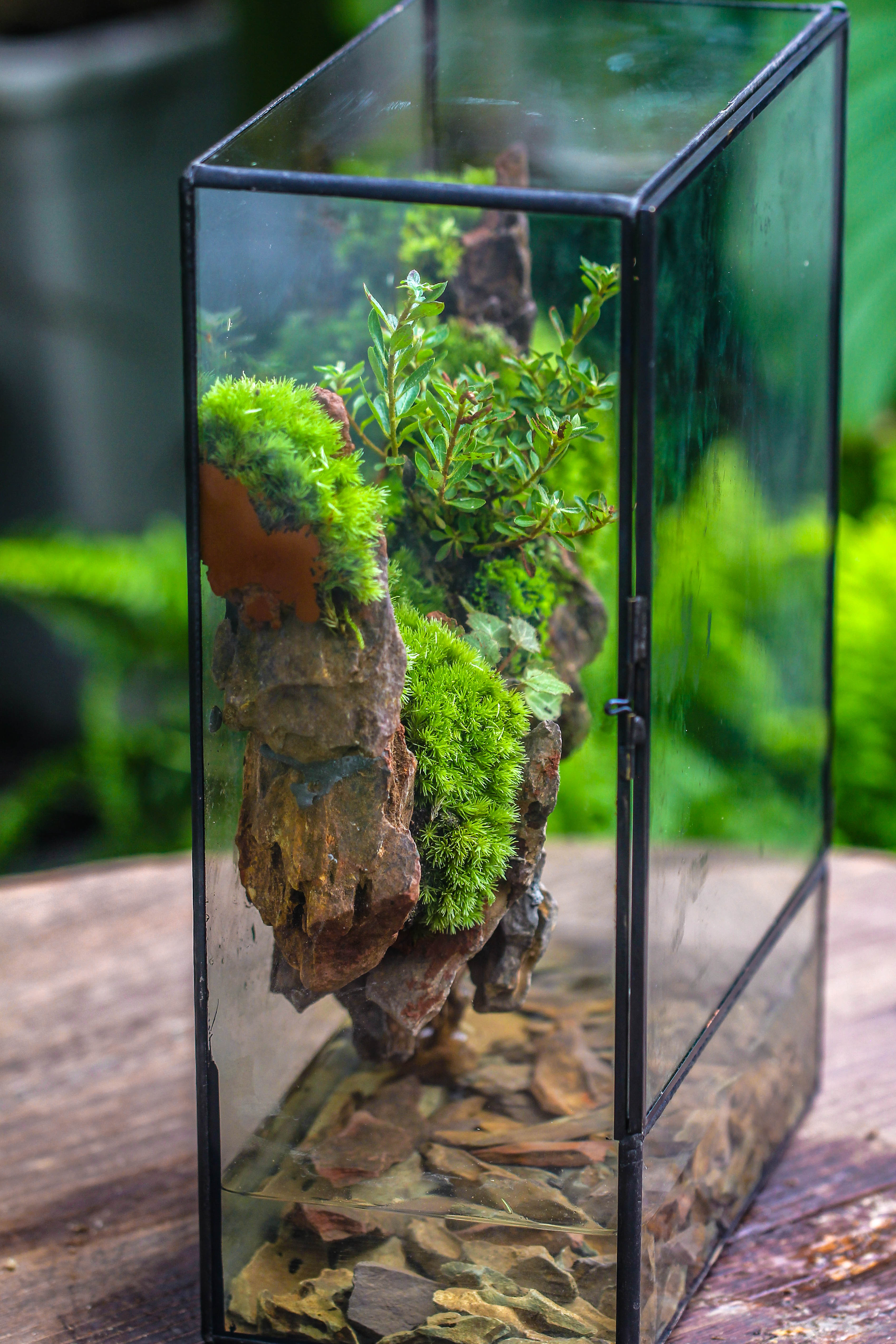 Close Geometric Glass Tin Terrarium , Watertight, 8x12" Container for Moss Wall, Fern, Landscape waterpond, 8x12", No plants Customizable - NCYPgarden