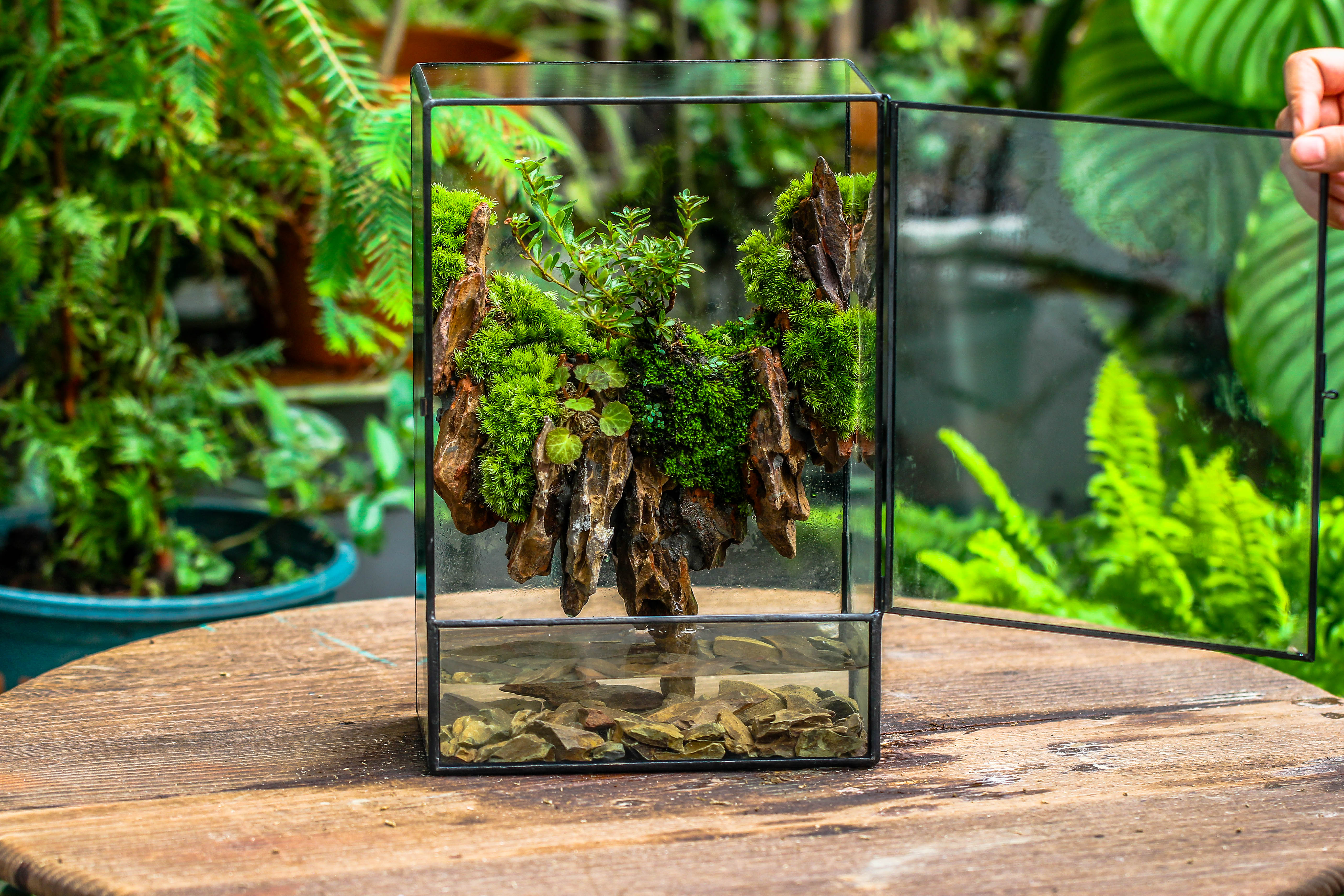 Close Geometric Glass Tin Terrarium , Watertight, 8x12" Container for Moss Wall, Fern, Landscape waterpond, 8x12", No plants Customizable - NCYPgarden