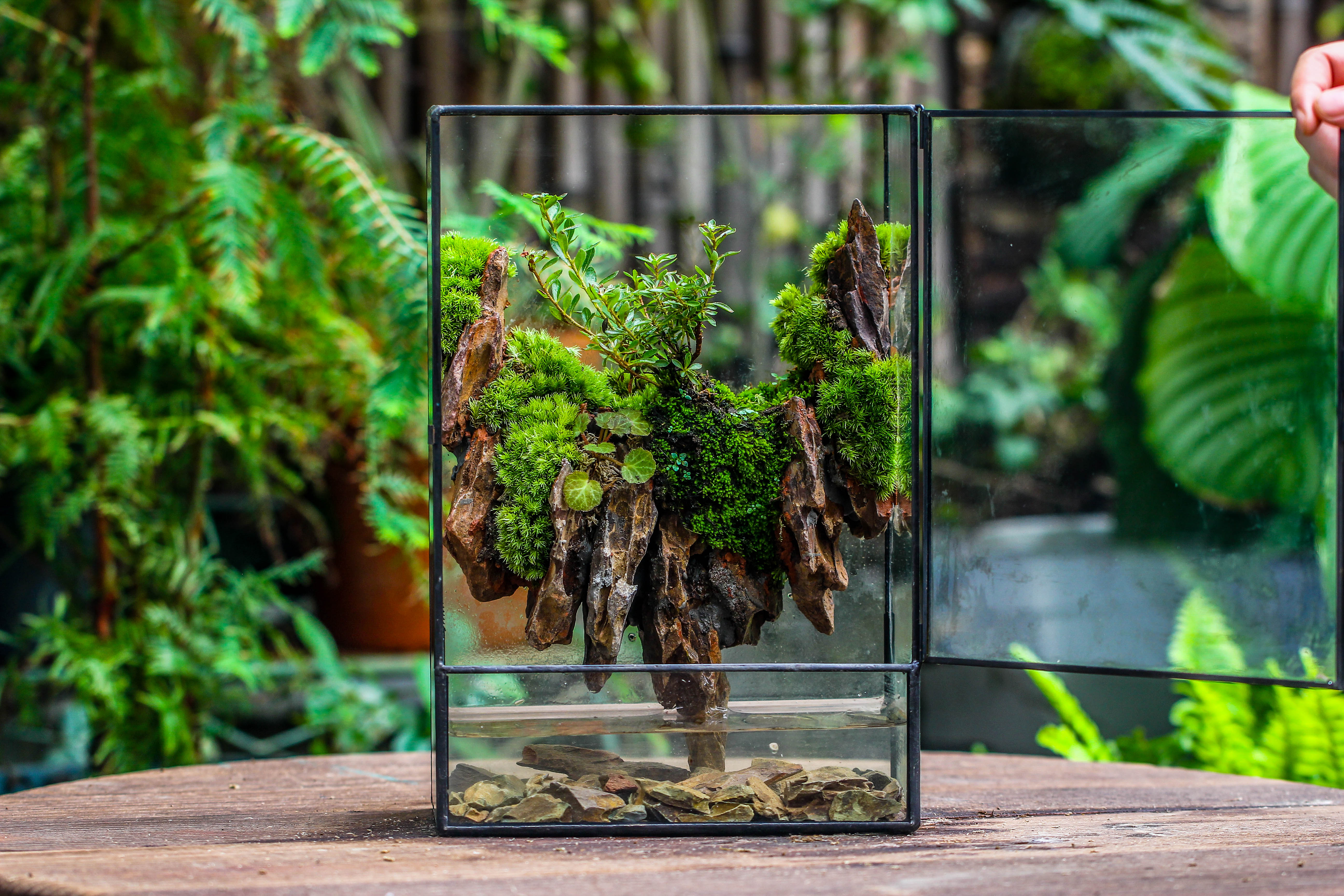 Close Geometric Glass Tin Terrarium , Watertight, 8x12" Container for Moss Wall, Fern, Landscape waterpond, 8x12", No plants Customizable - NCYPgarden