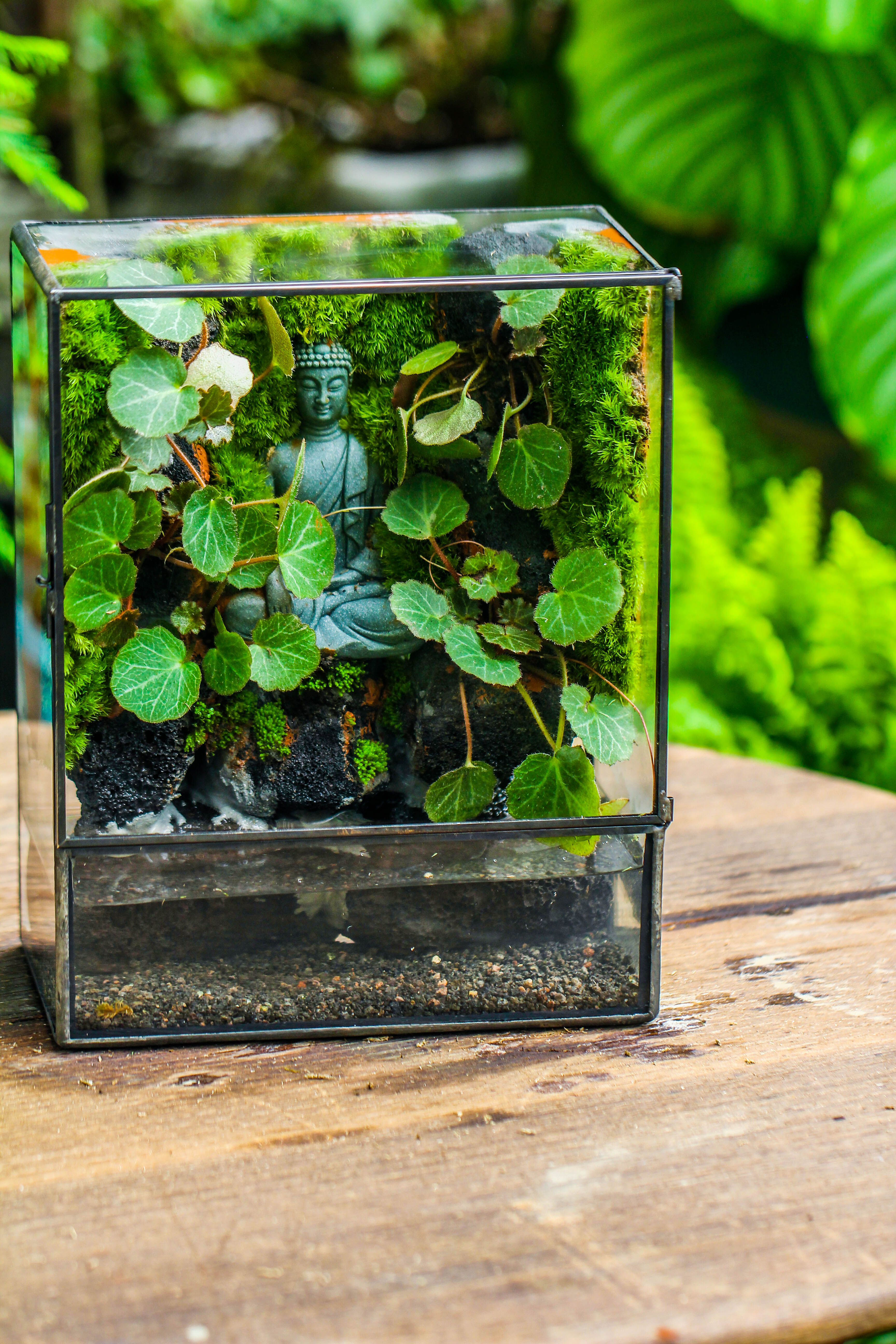 Close Geometric Glass Tin Terrarium , Watertight, 8x10" Container for Moss Wall, Fern, Landscape waterpond, No plants, Customizable - NCYPgarden